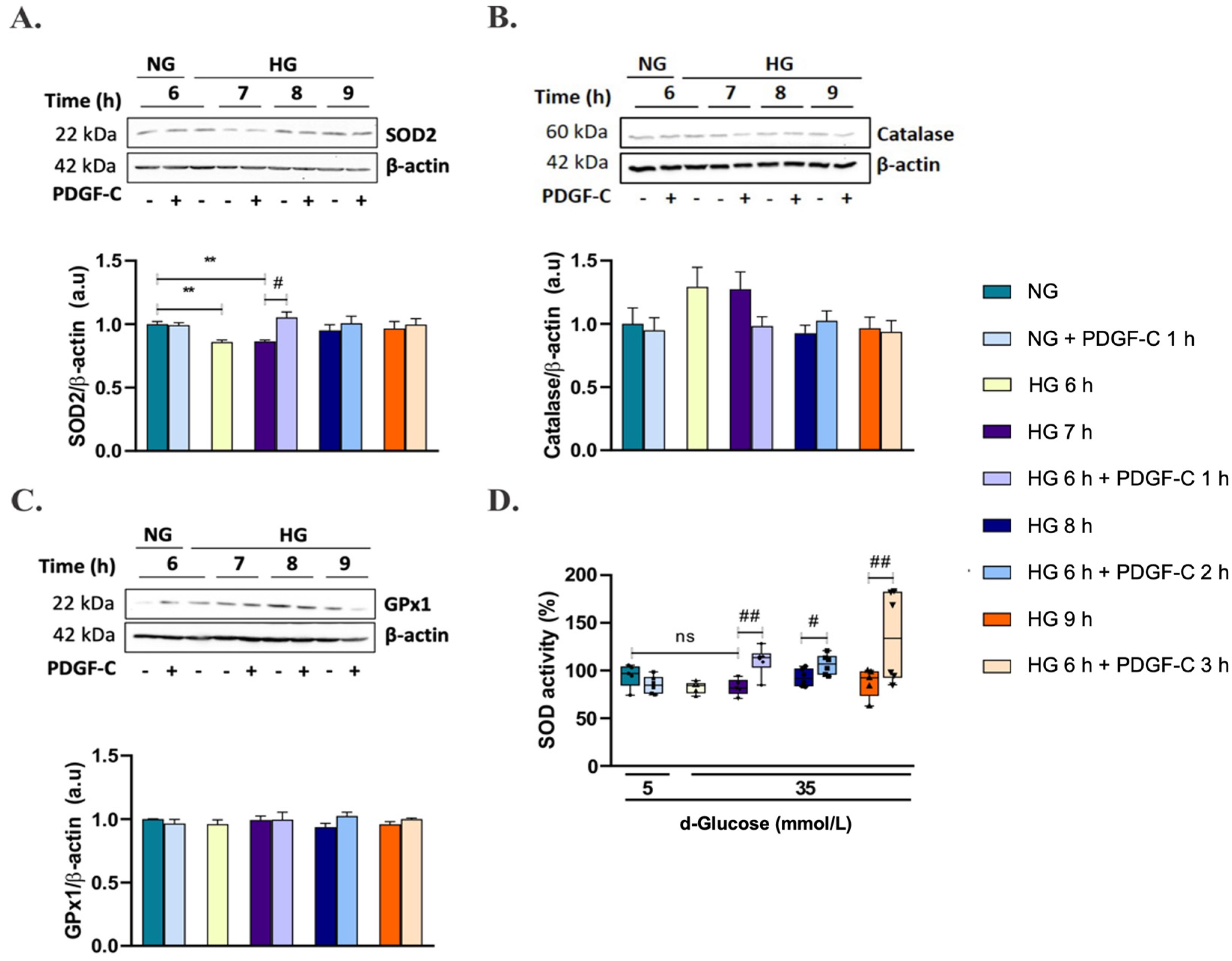 Pharmaceuticals 15 00639 g004 550