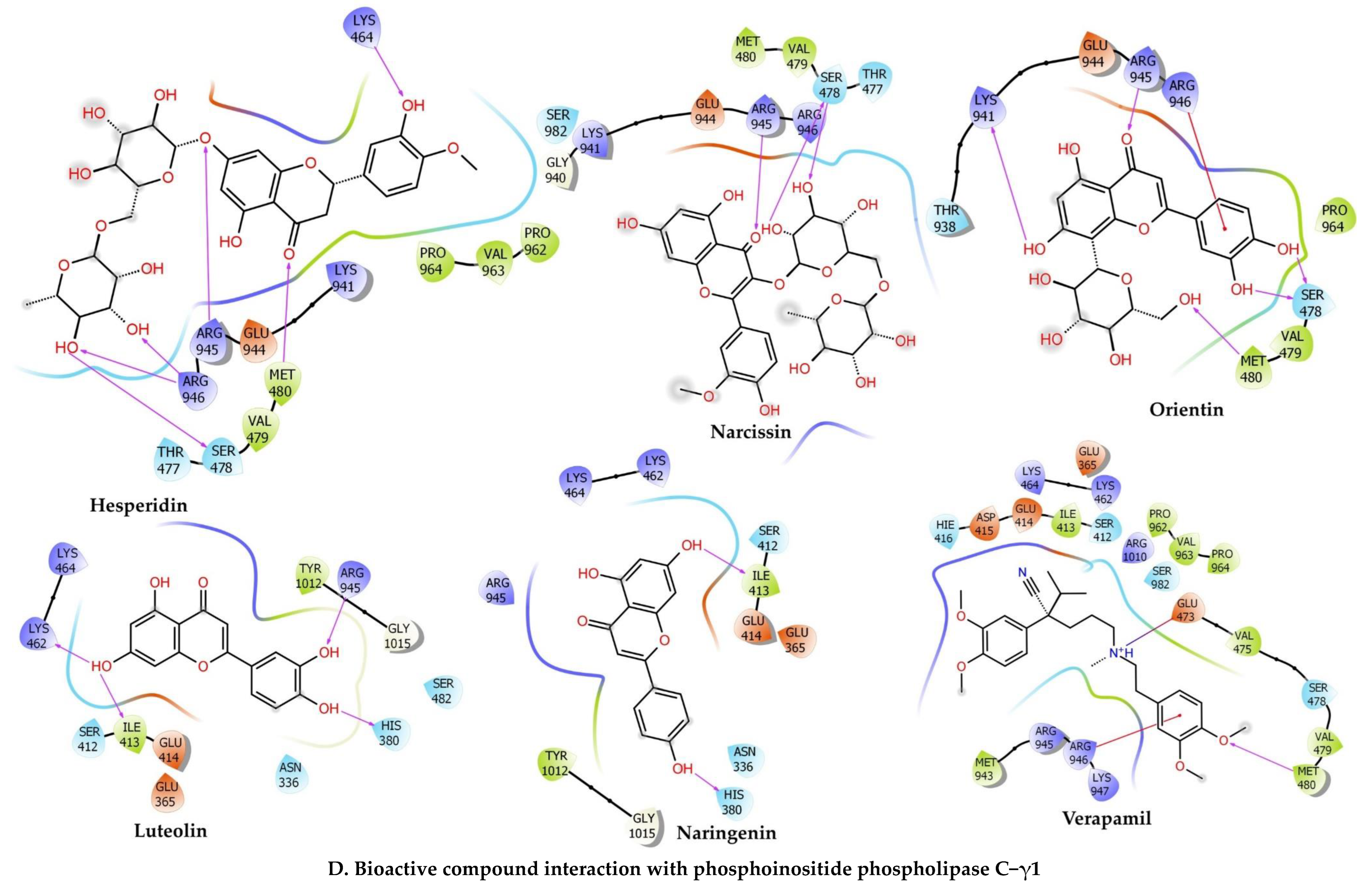 Pharmaceuticals 15 00641 g005h