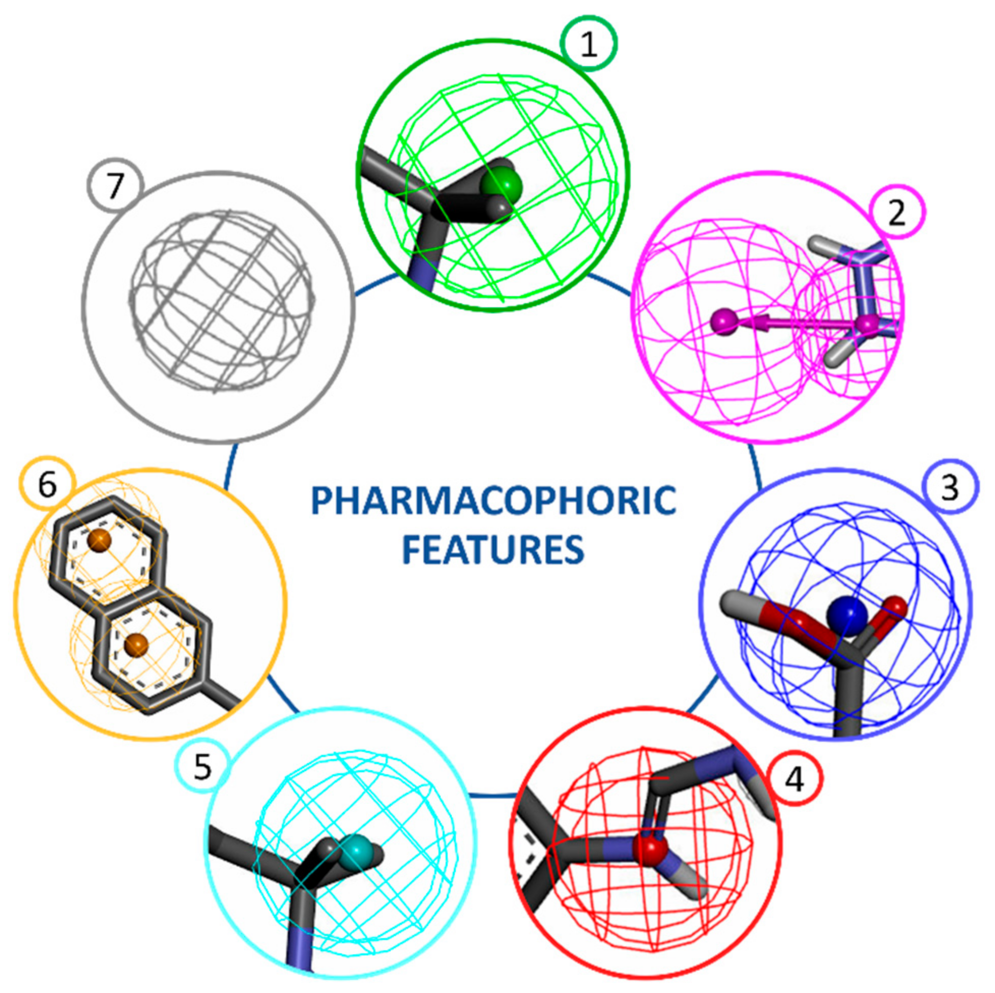 Pharmaceuticals Free FullText Drug Design by Pharmacophore and