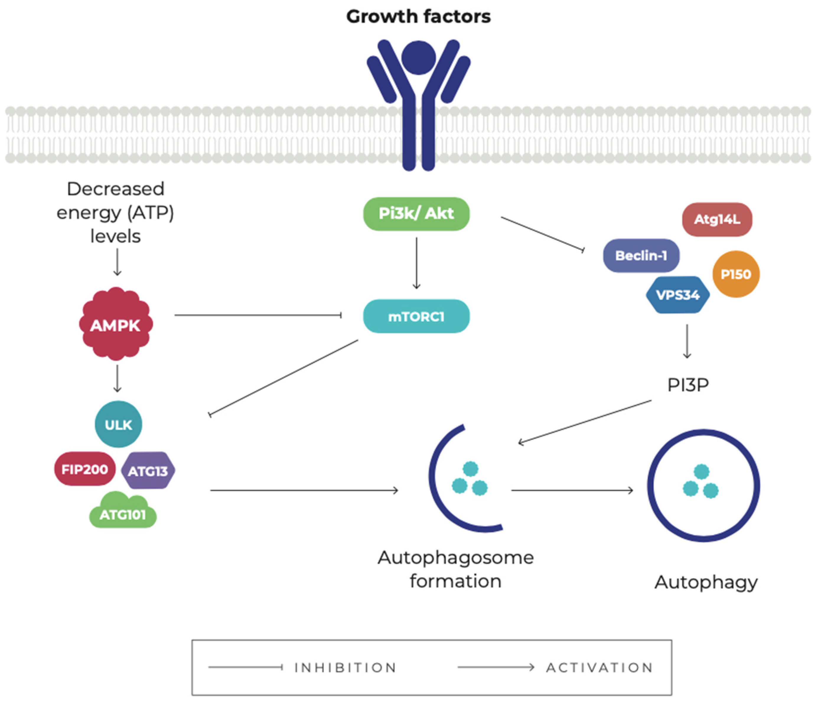 Pharmaceuticals 15 00648 g002 Pharmaceuticals 15 00648 g002