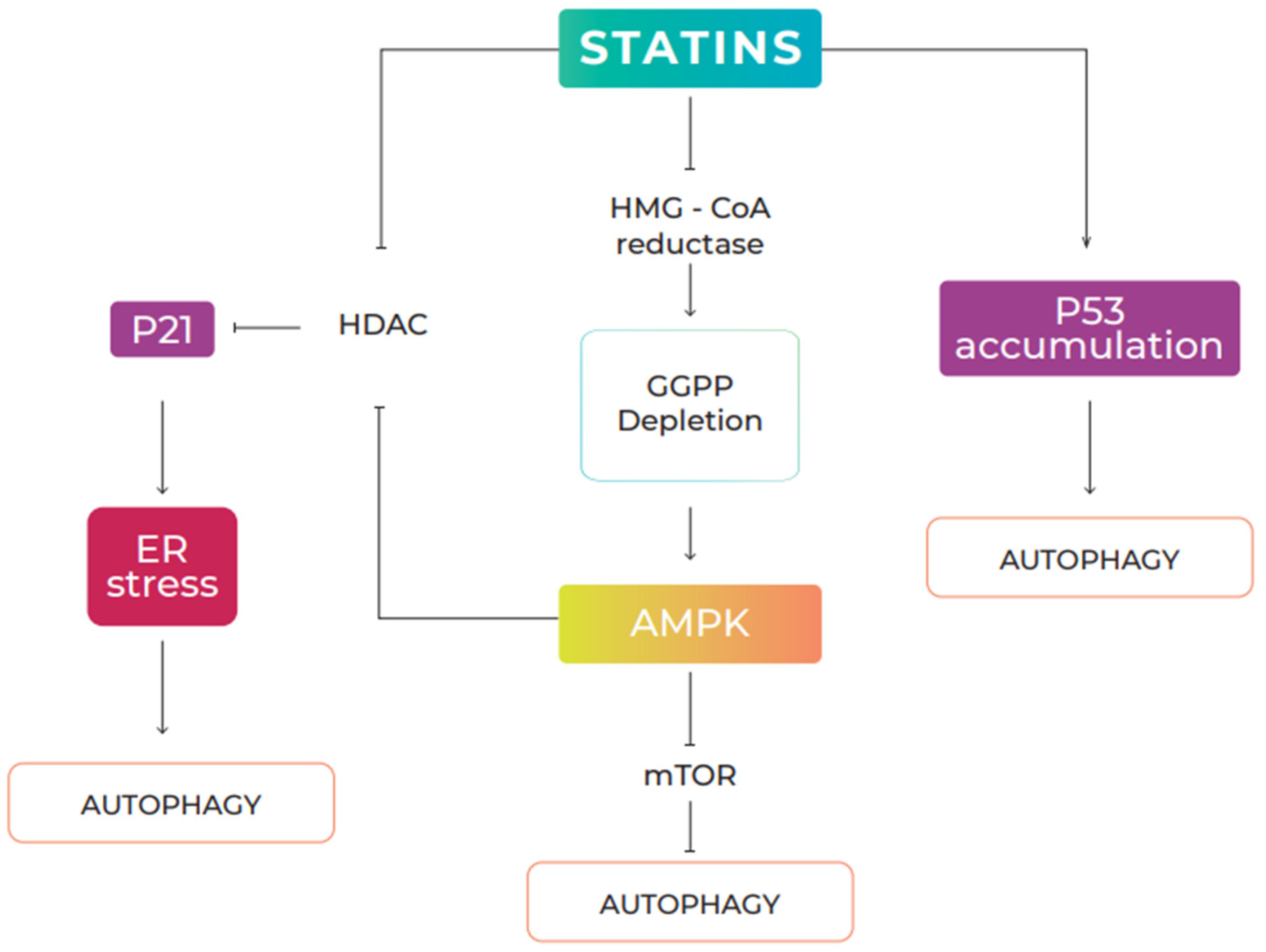 Pharmaceuticals 15 00648 g003 Pharmaceuticals 15 00648 g003