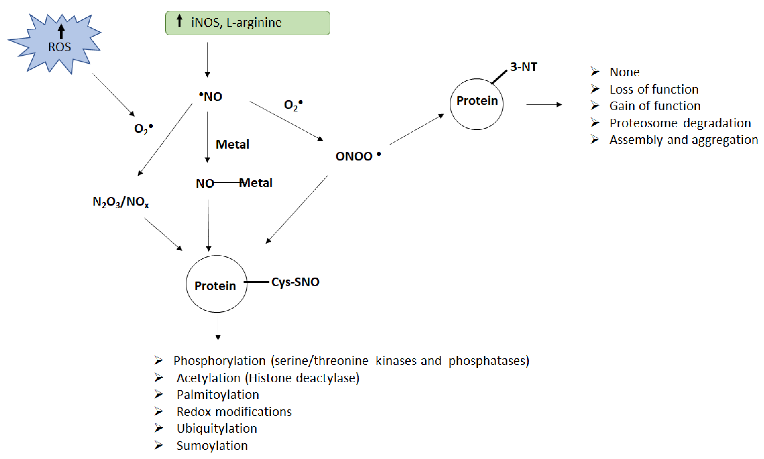 Pharmaceuticals 15 00649 g001 Pharmaceuticals 15 00649 g001