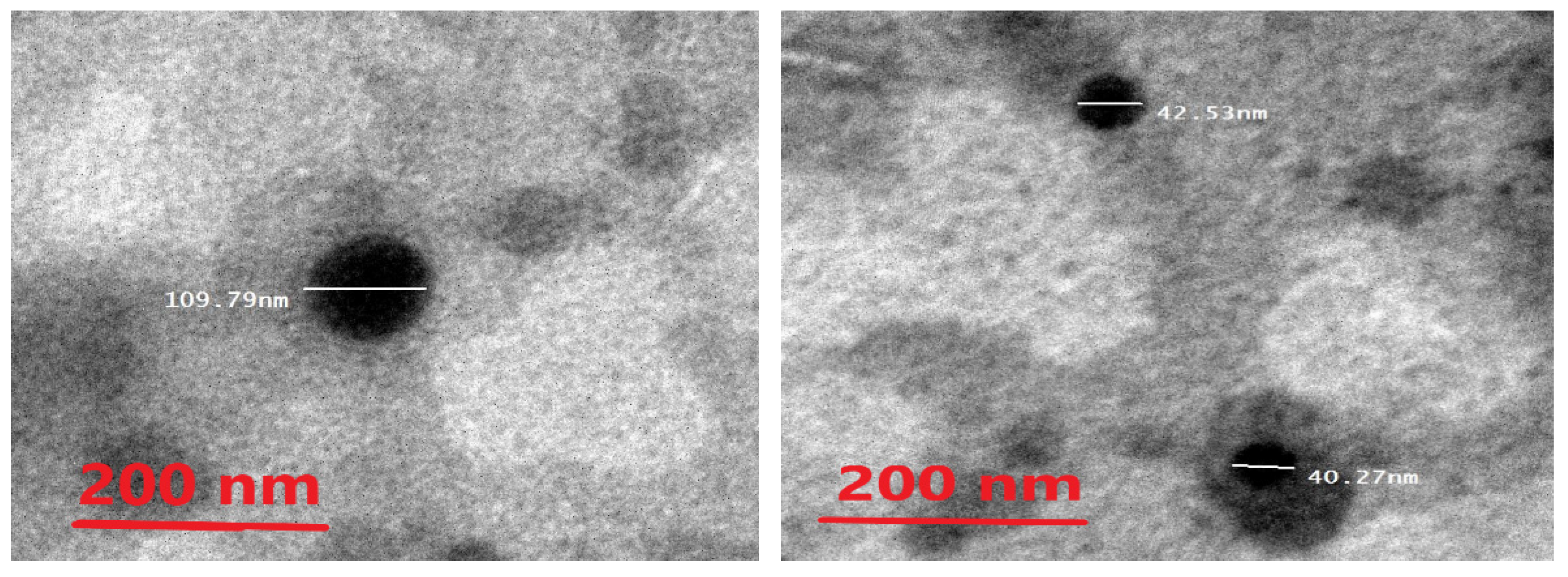 Pharmaceuticals 15 00657 g005 Pharmaceuticals 15 00657 g005