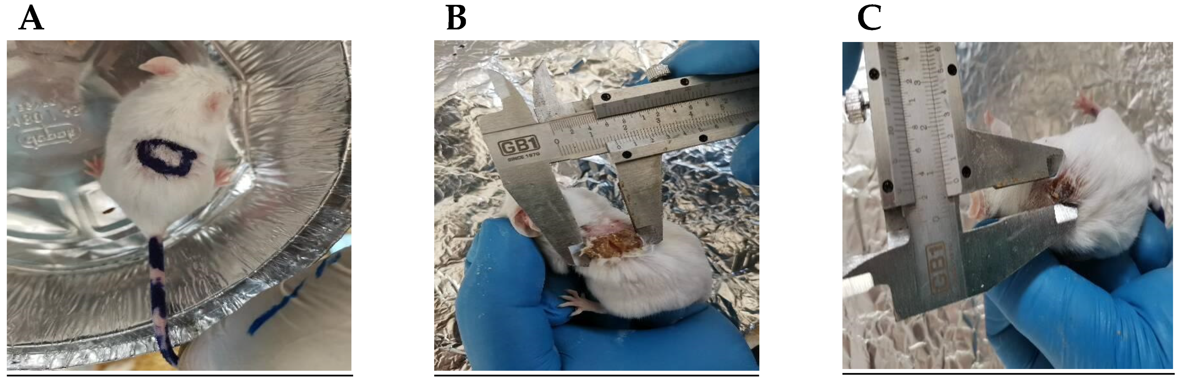 Pharmaceuticals 15 00657 g007 Pharmaceuticals 15 00657 g007