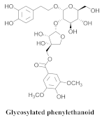 Pharmaceuticals 15 00658 i032 Pharmaceuticals 15 00658 i032