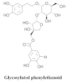 Pharmaceuticals 15 00658 i033 Pharmaceuticals 15 00658 i033