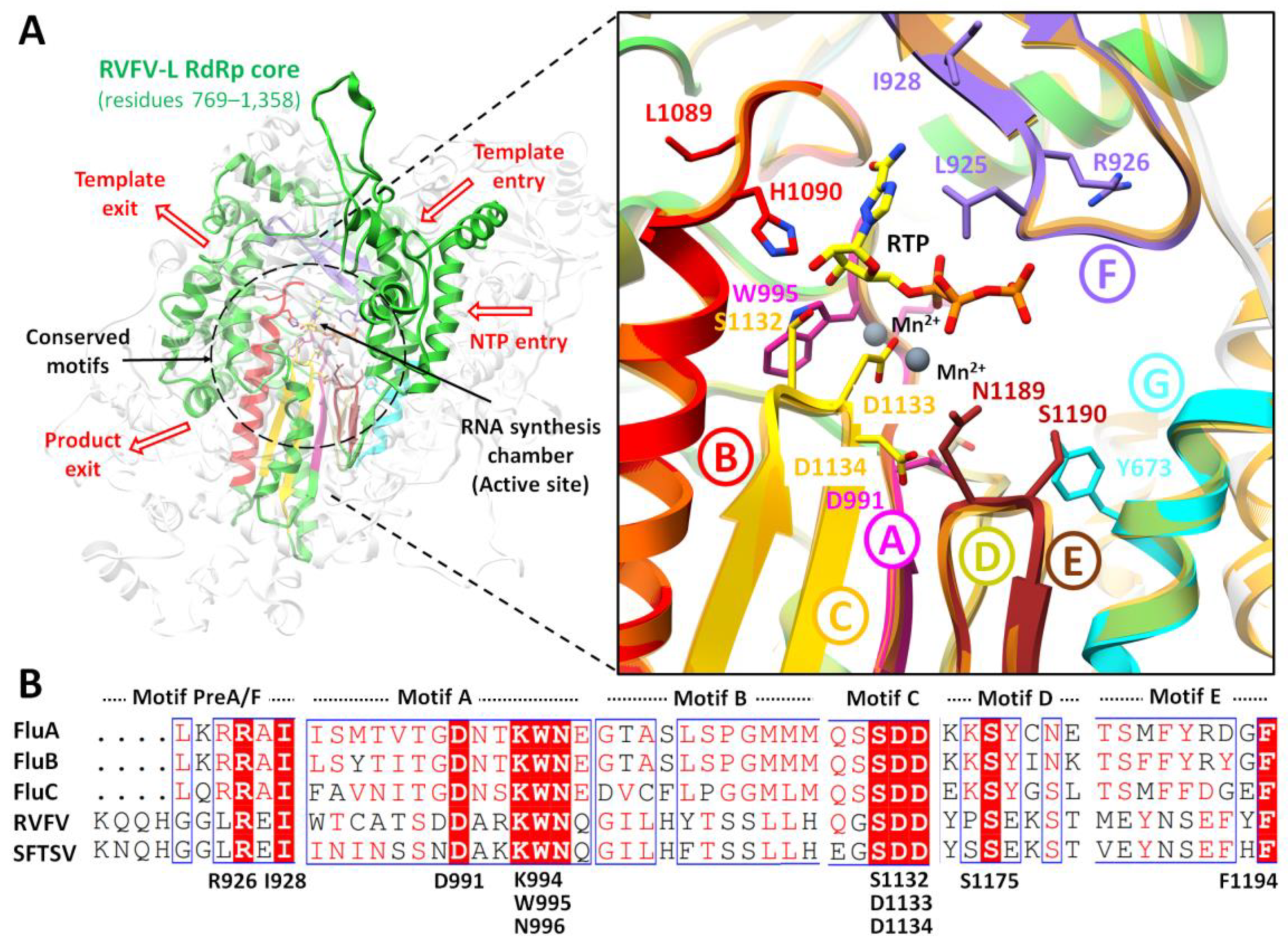 Pharmaceuticals 15 00659 g002