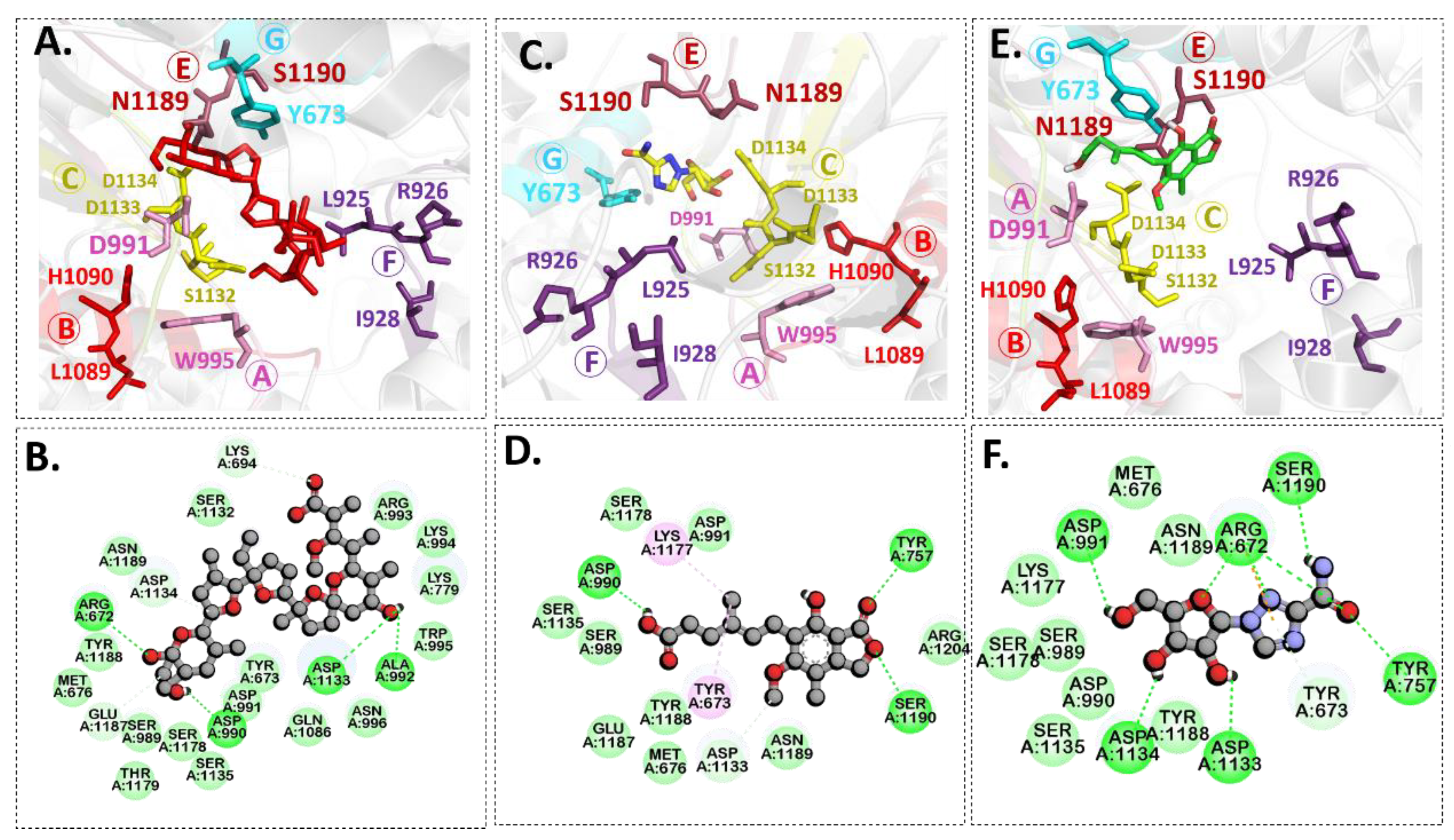 Pharmaceuticals 15 00659 g003