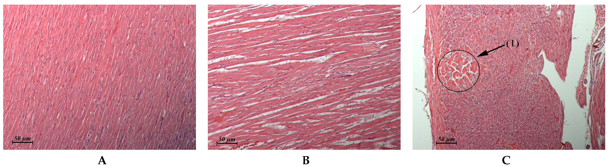 Pharmaceuticals 15 00661 g004 Pharmaceuticals 15 00661 g004