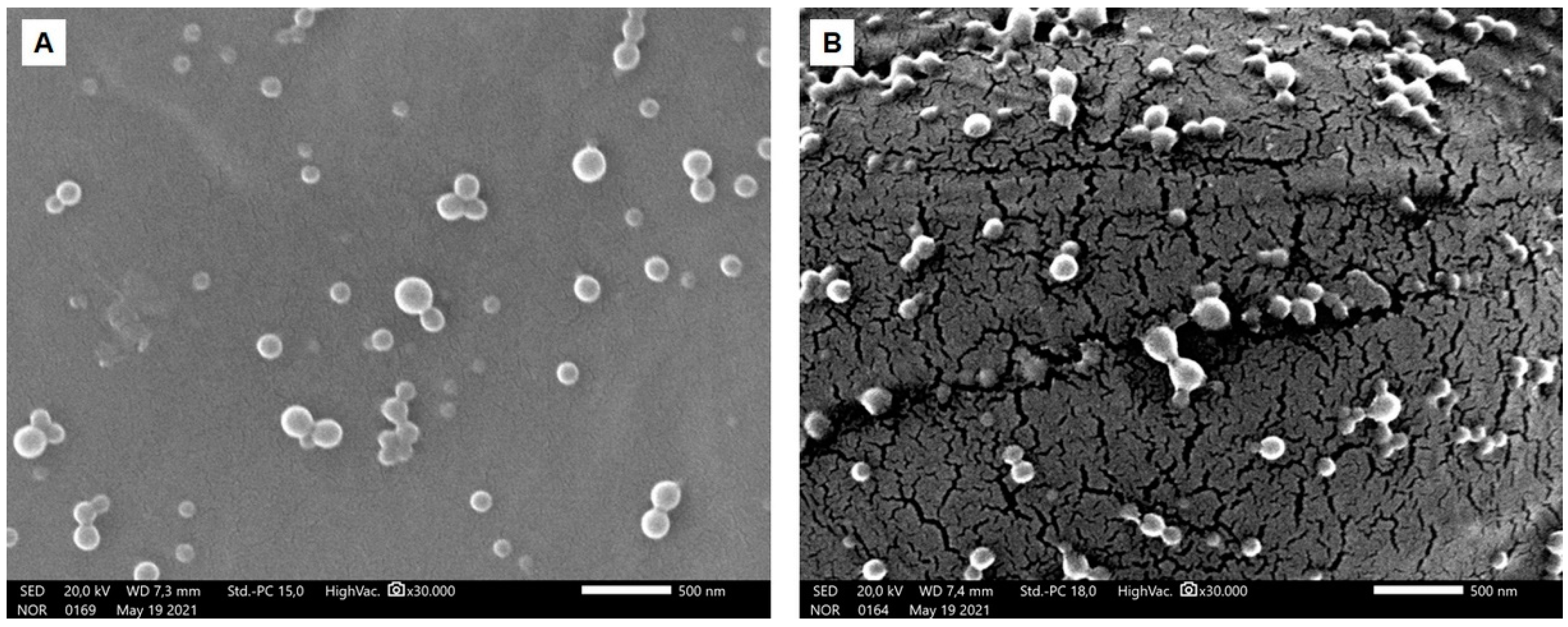 Pharmaceuticals 15 00662 g001 550