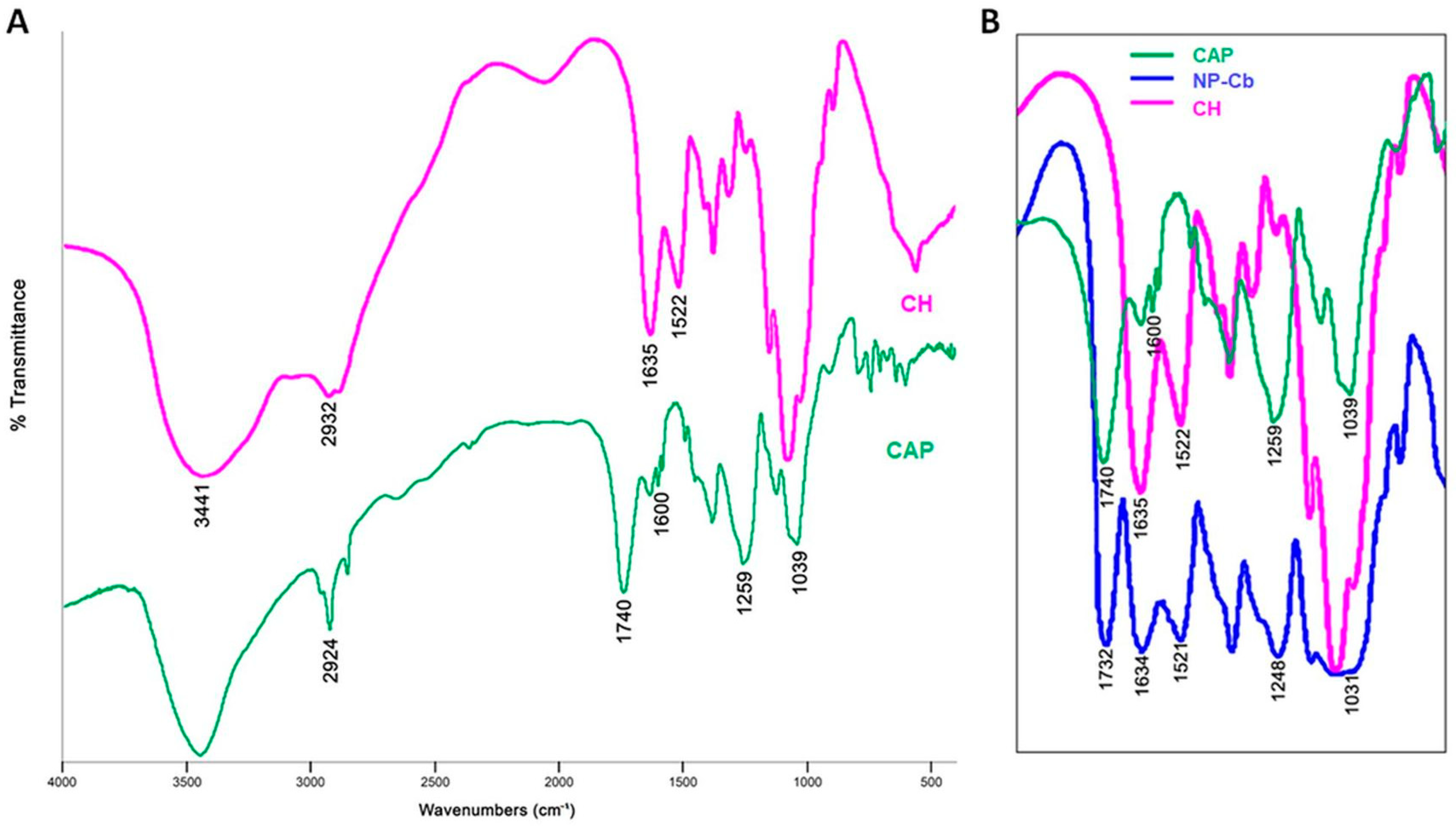 Pharmaceuticals 15 00662 g004 550