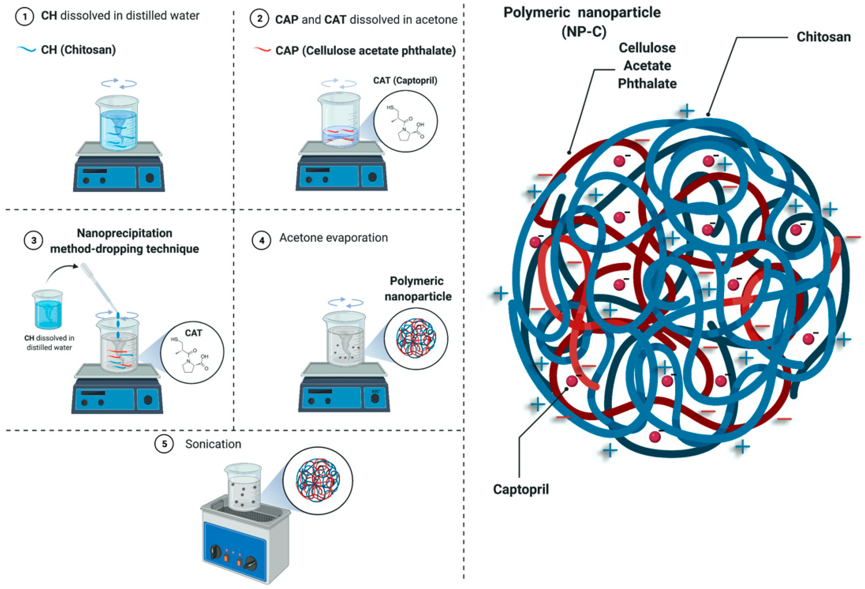 Pharmaceuticals 15 00662 g009 550