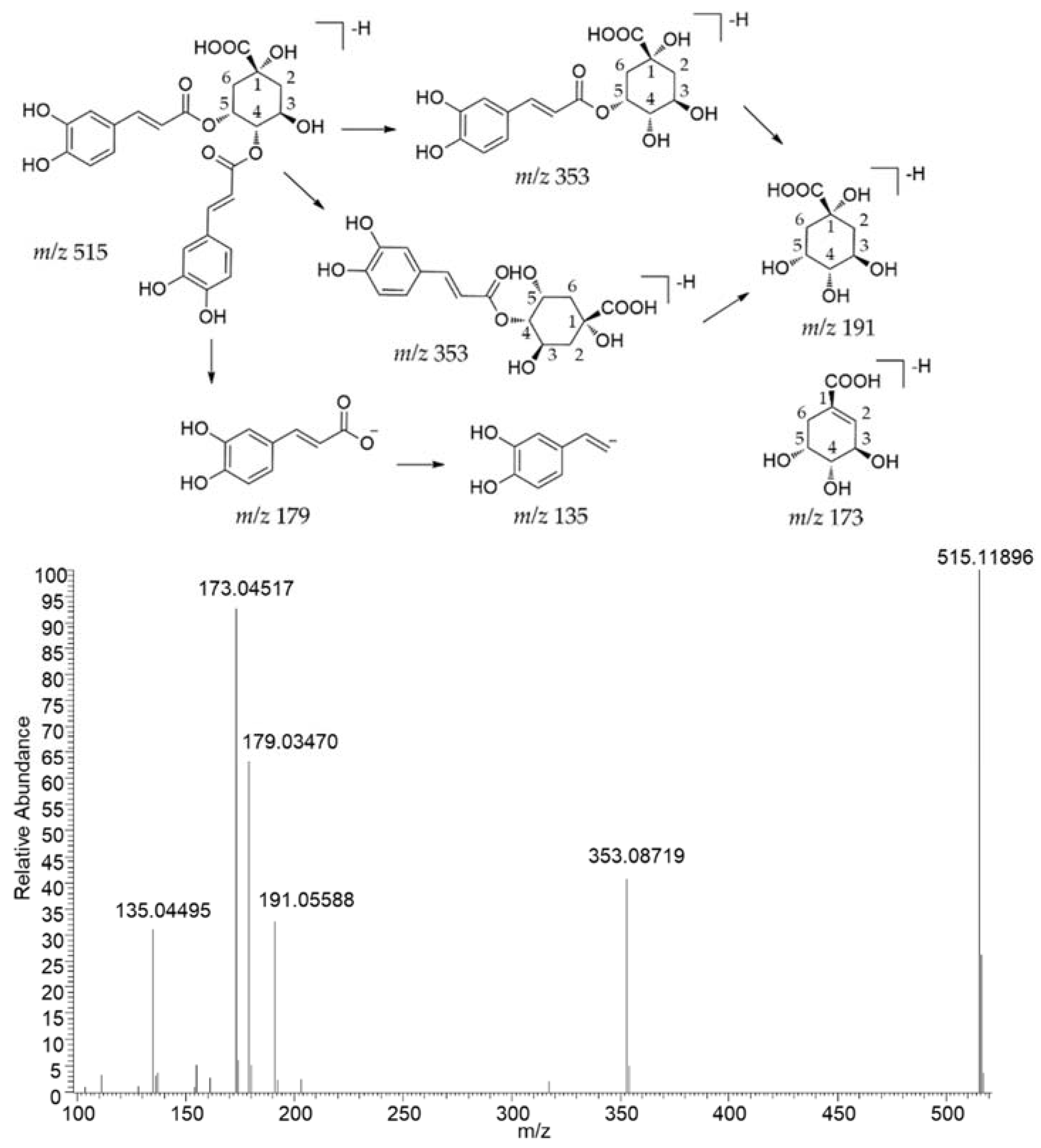 Pharmaceuticals 15 00663 g002 550