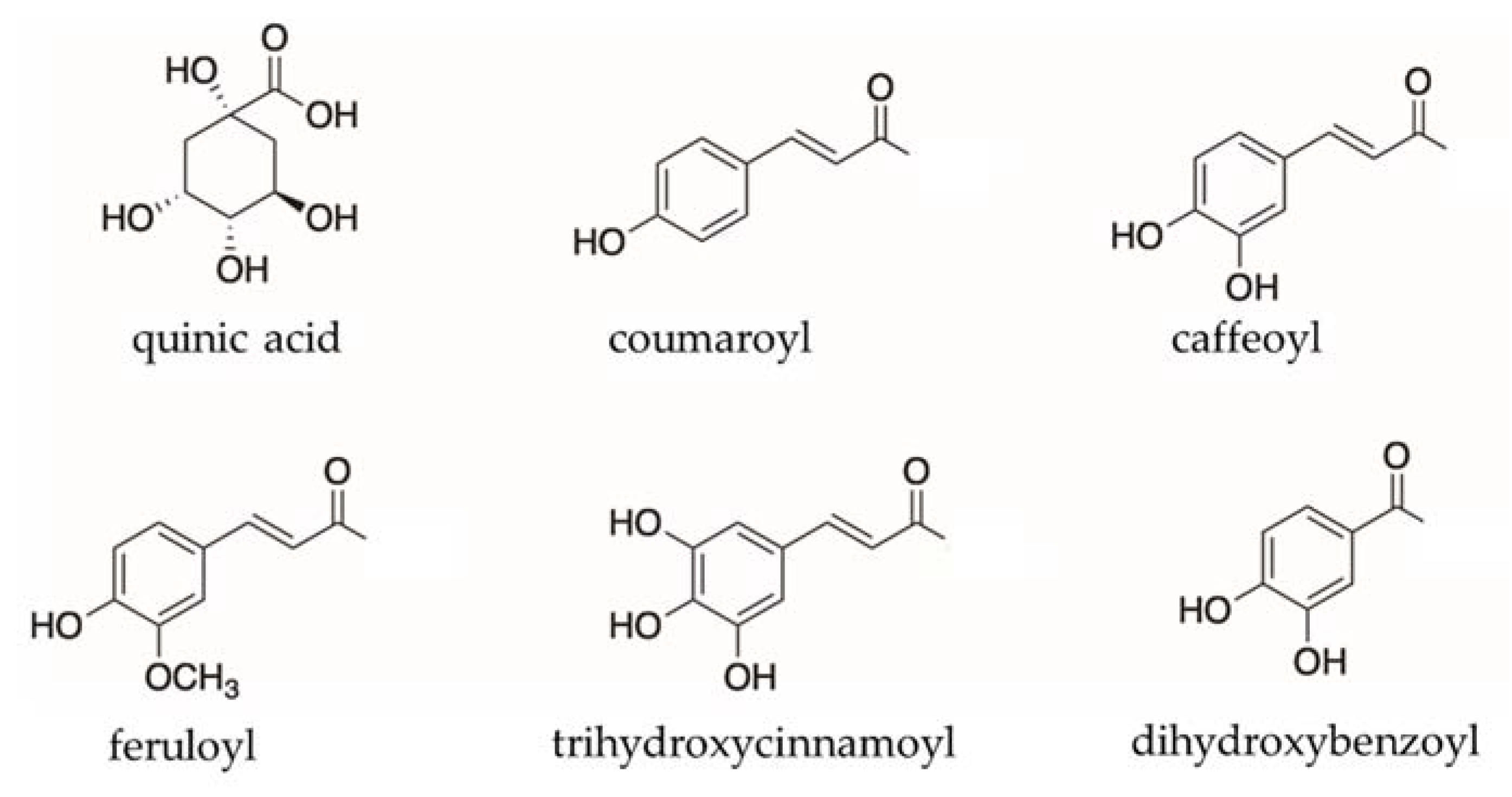 Pharmaceuticals 15 00663 g003 550