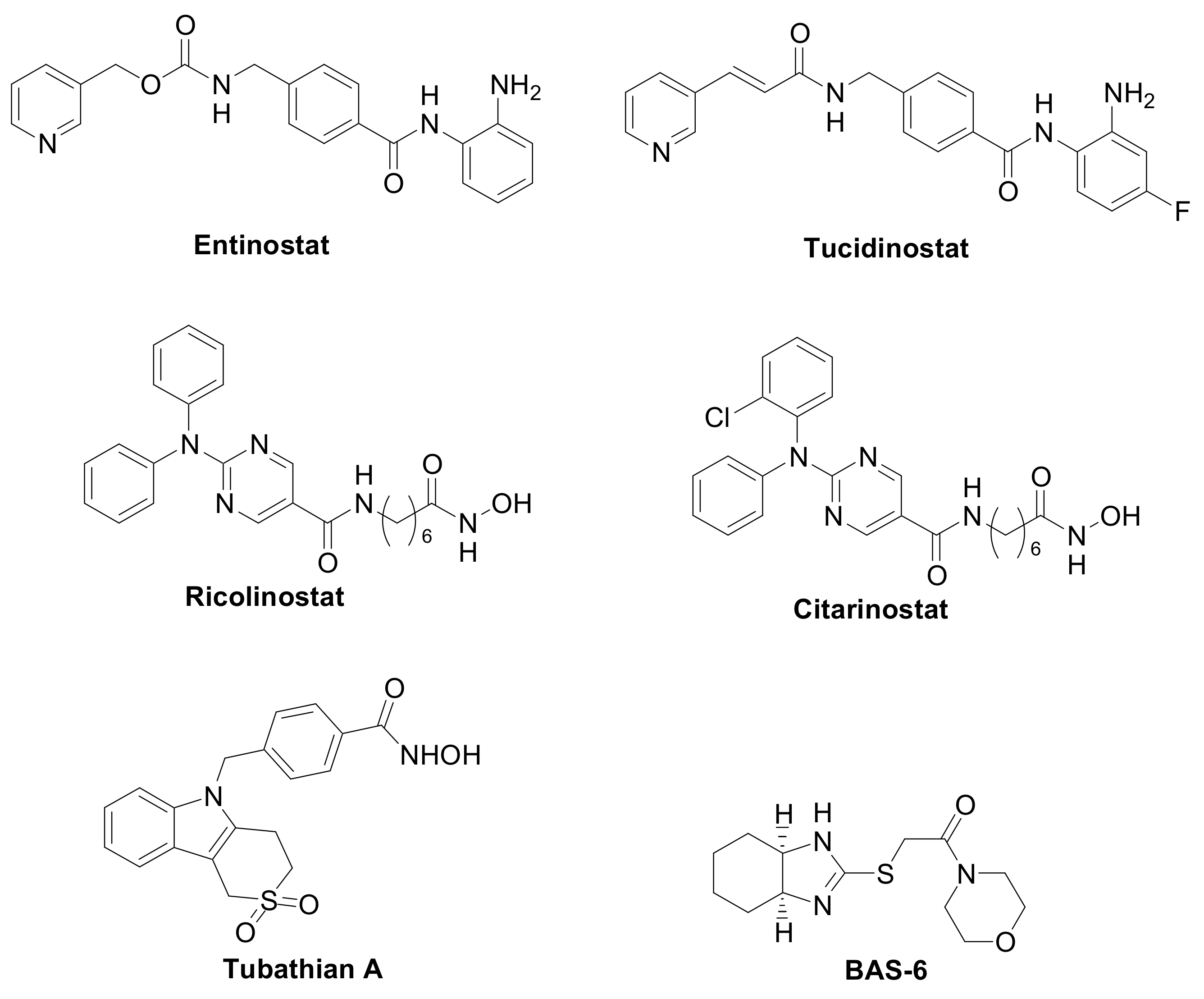 Pharmaceuticals 15 00667 g003 550
