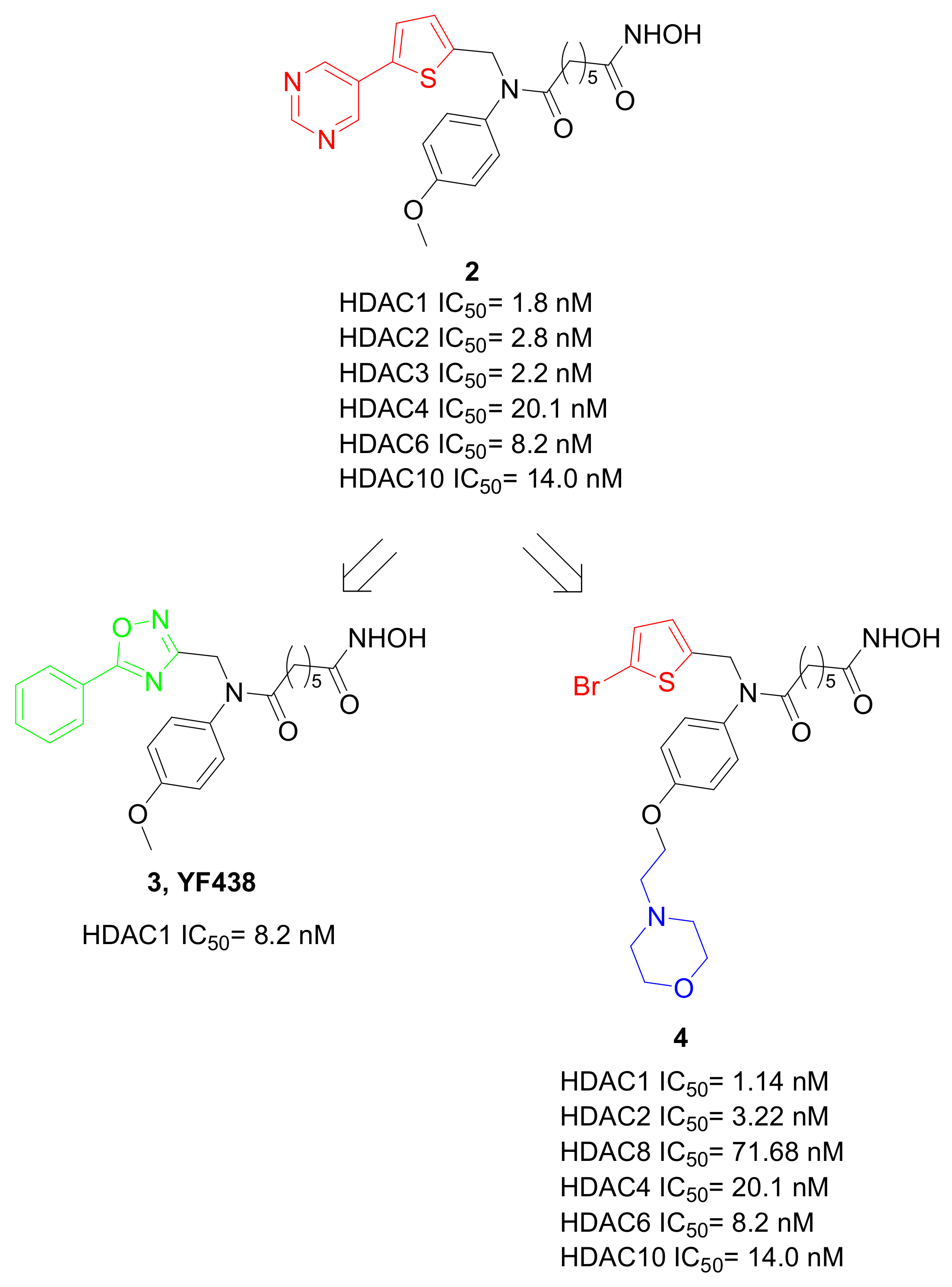 Pharmaceuticals 15 00667 g005 550