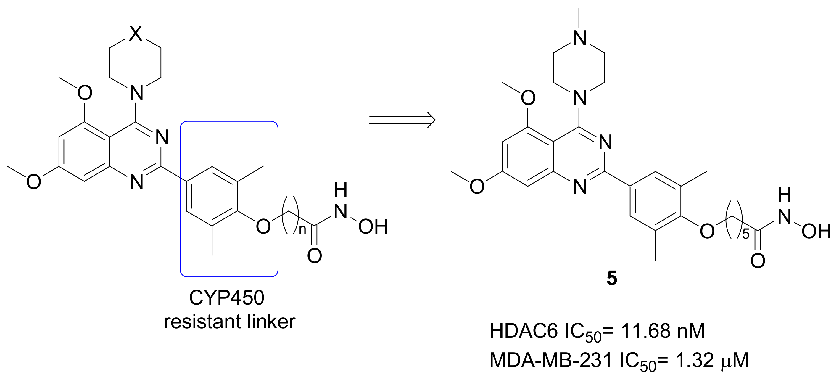 Pharmaceuticals 15 00667 g006 550
