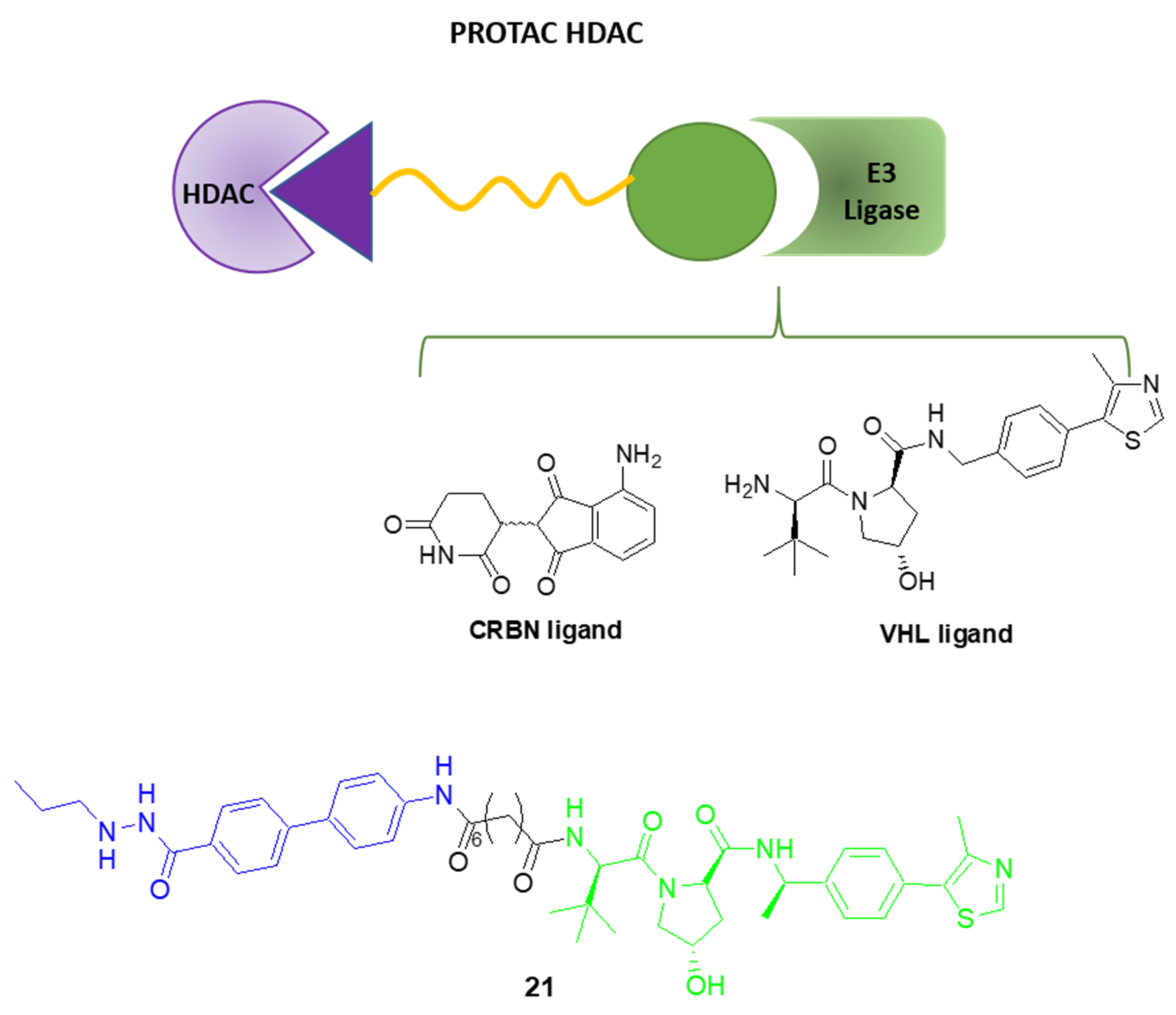Pharmaceuticals 15 00667 g014 550