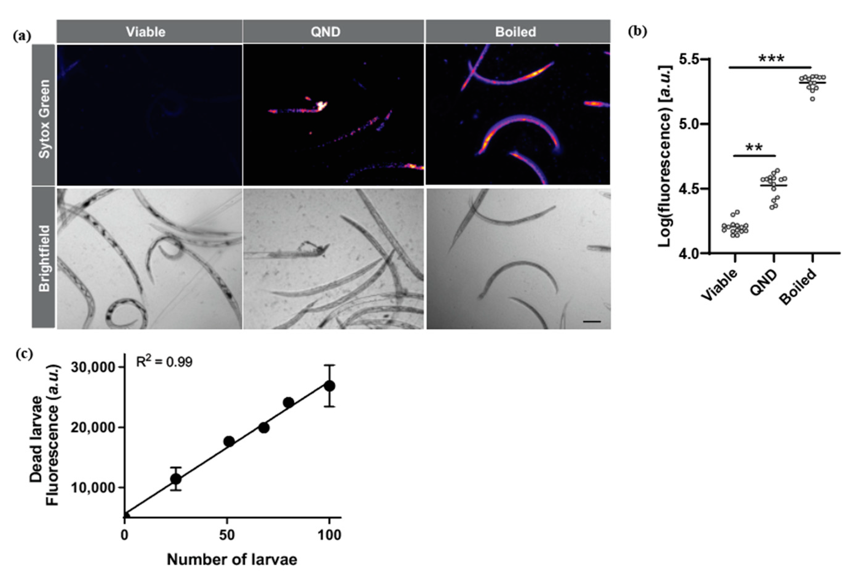 Pharmaceuticals 15 00669 g001
