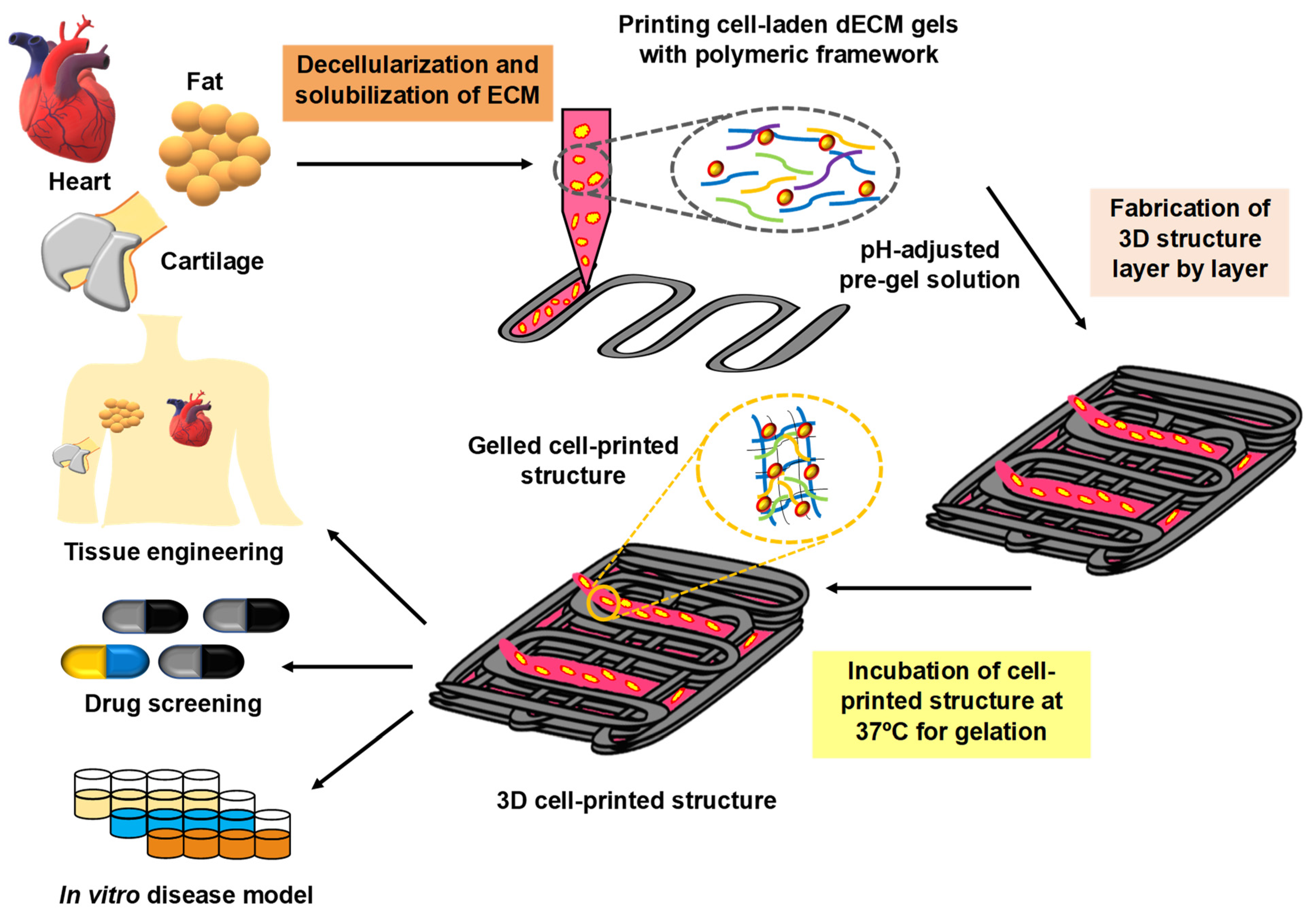 Pharmaceuticals 15 00678 g002