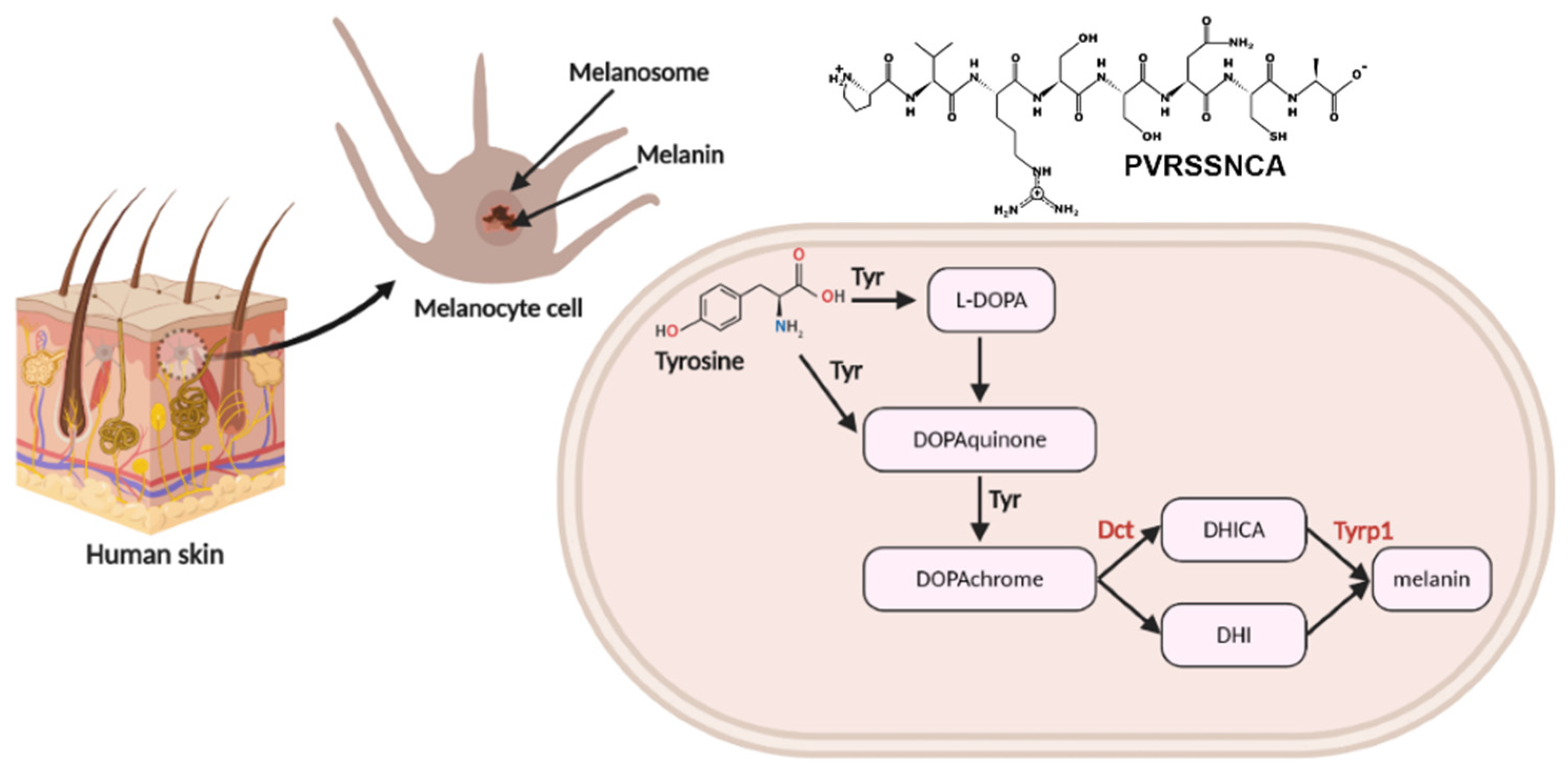 Pharmaceuticals 15 00684 g005