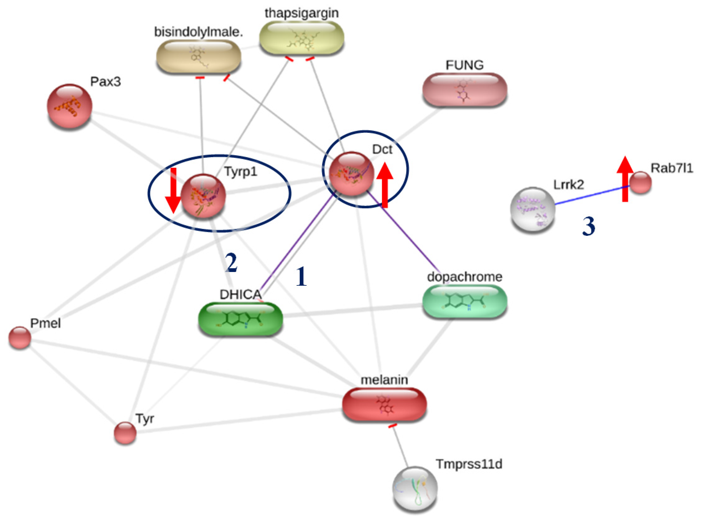 Pharmaceuticals 15 00684 g006