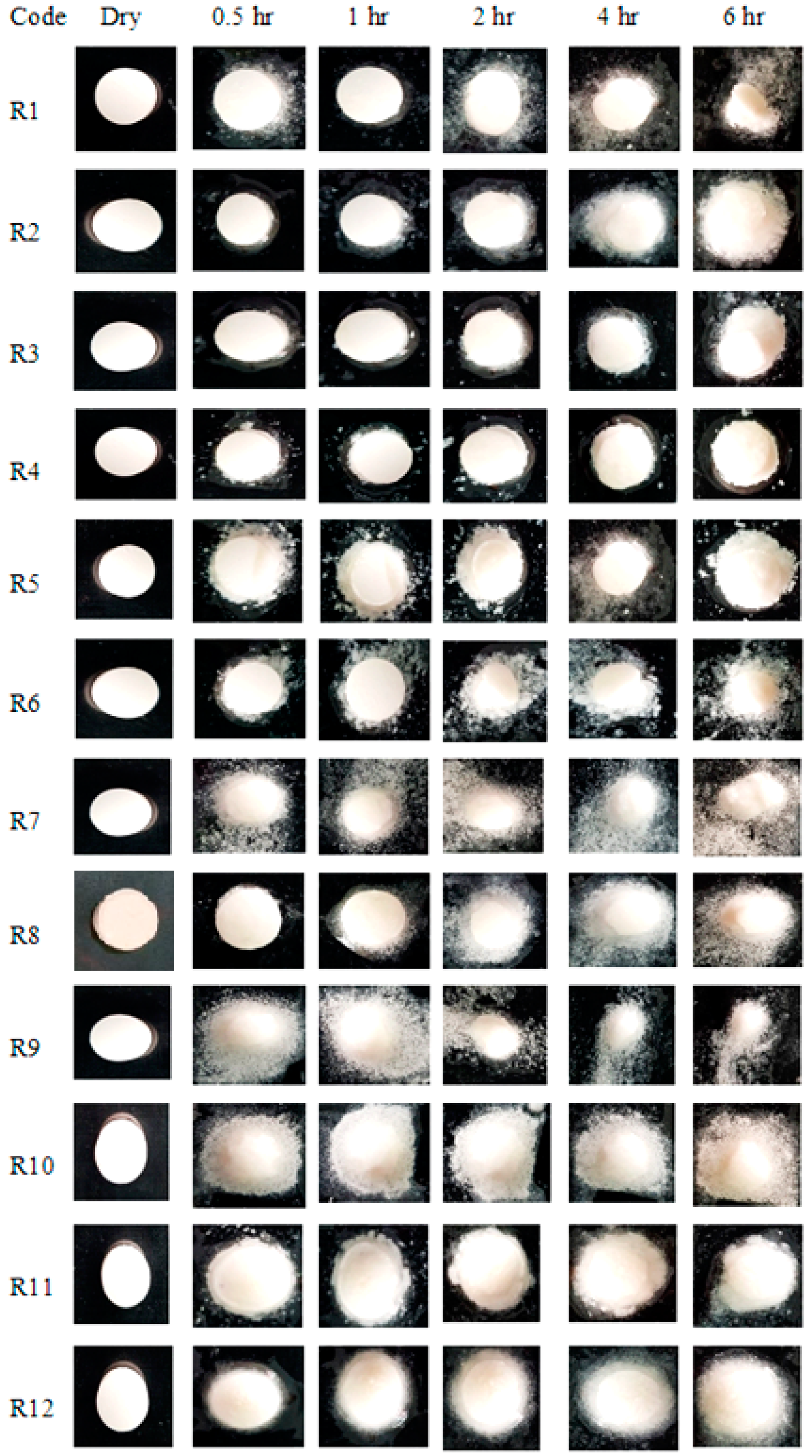 Pharmaceuticals 15 00686 g005