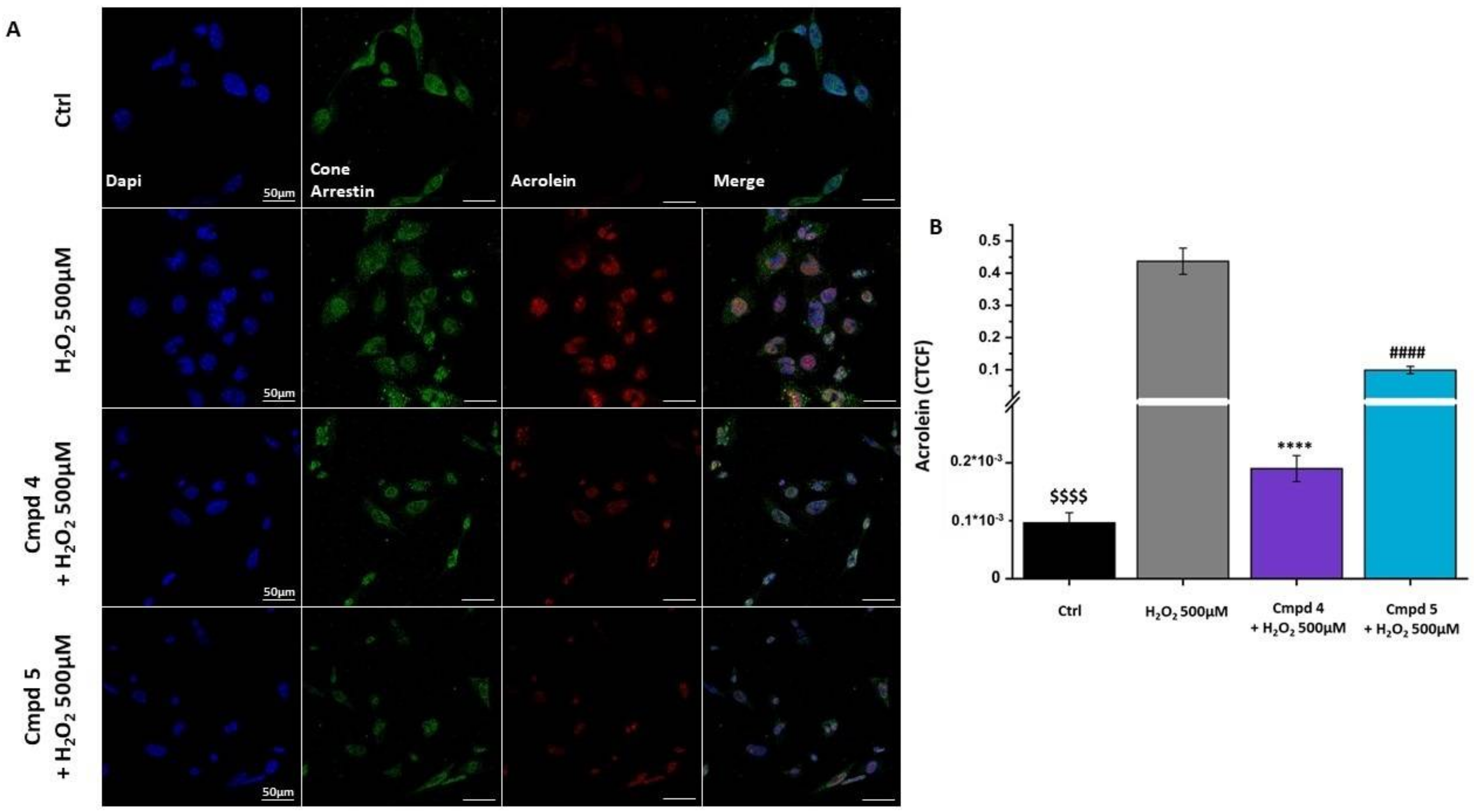 Pharmaceuticals 15 00688 g006