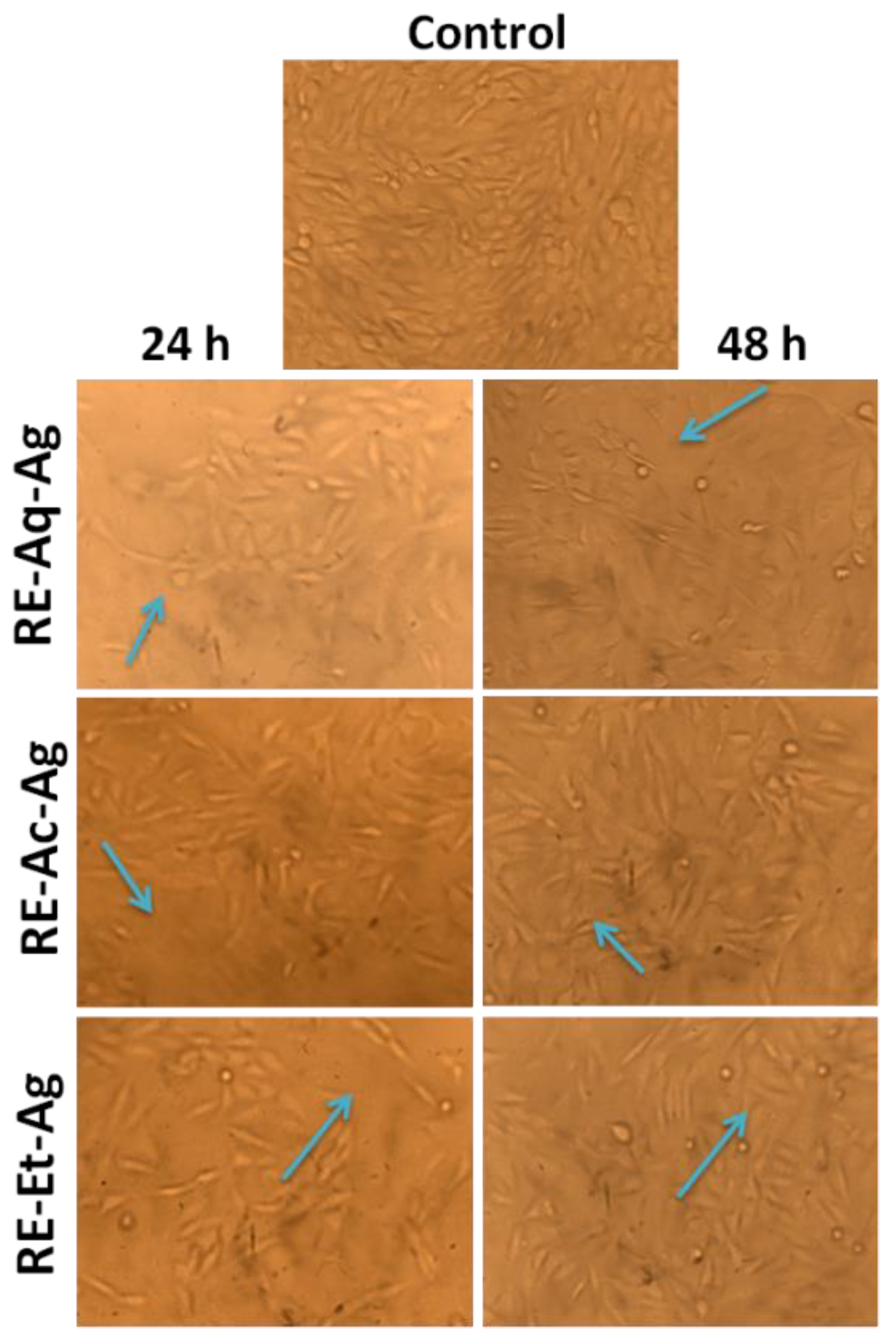 Pharmaceuticals 15 00689 g007
