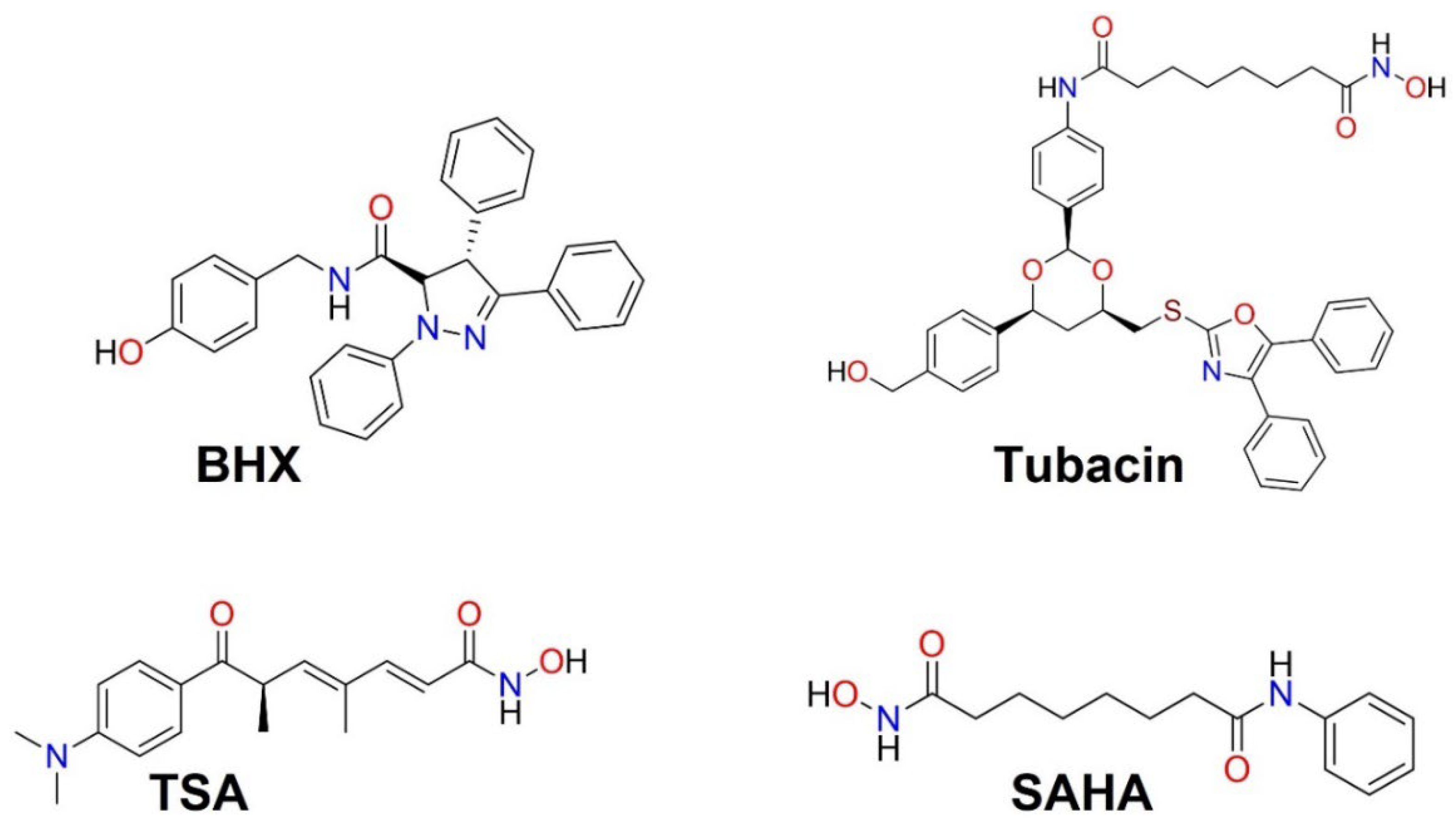 Pharmaceuticals 15 00690 g001