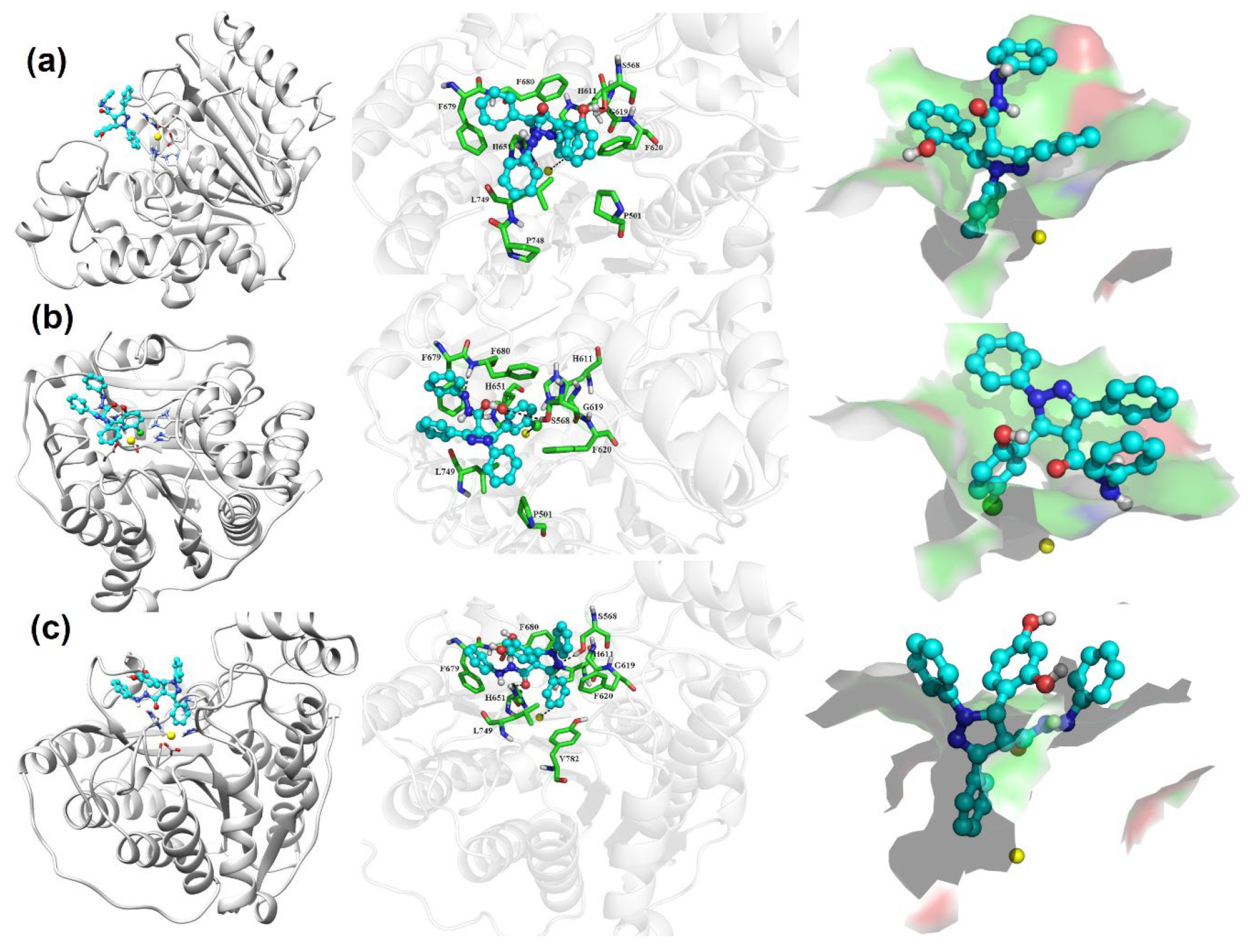 Pharmaceuticals 15 00690 g004