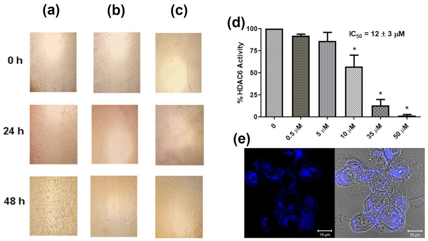Pharmaceuticals 15 00690 g005