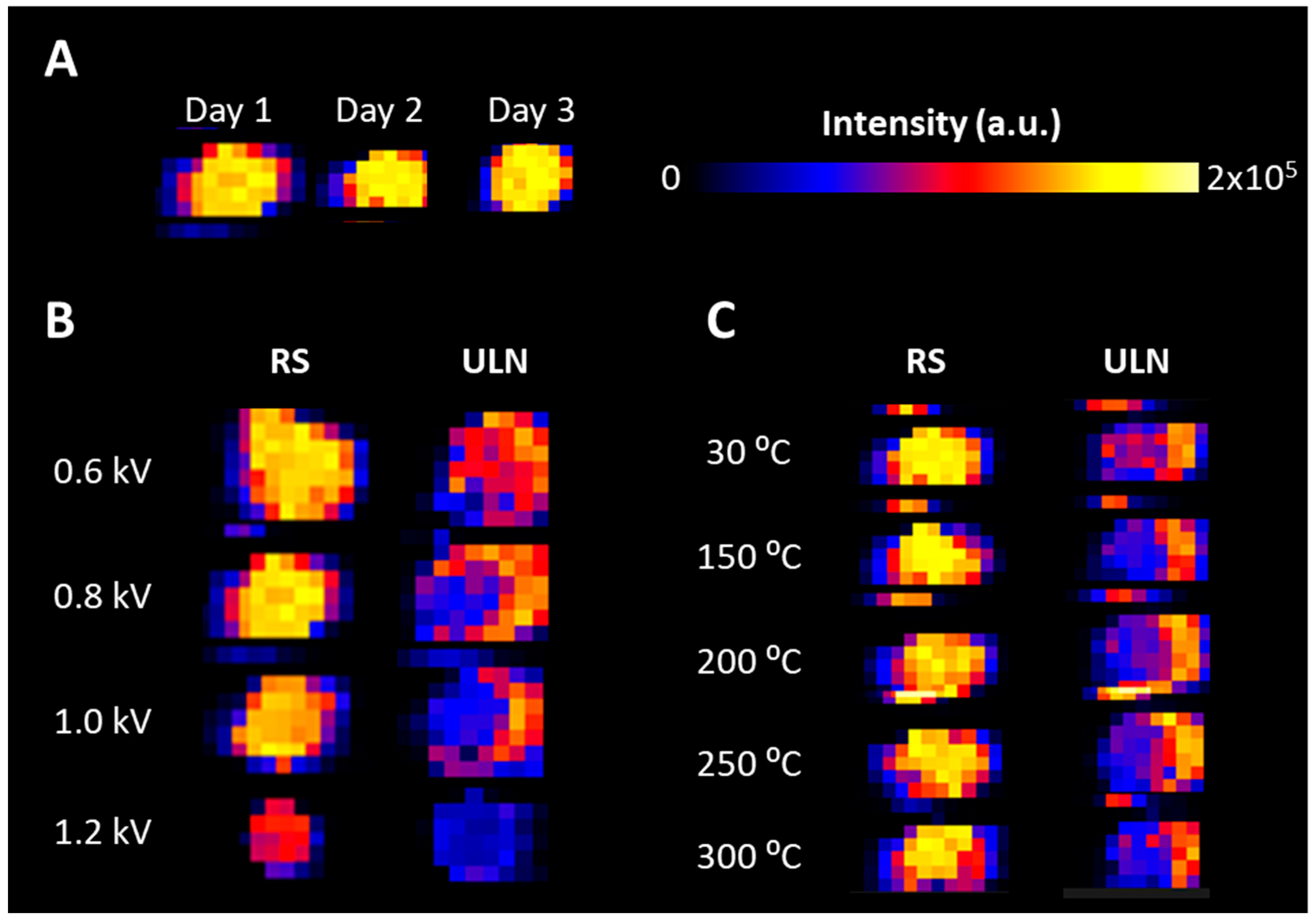 Pharmaceuticals 15 00694 g002 550