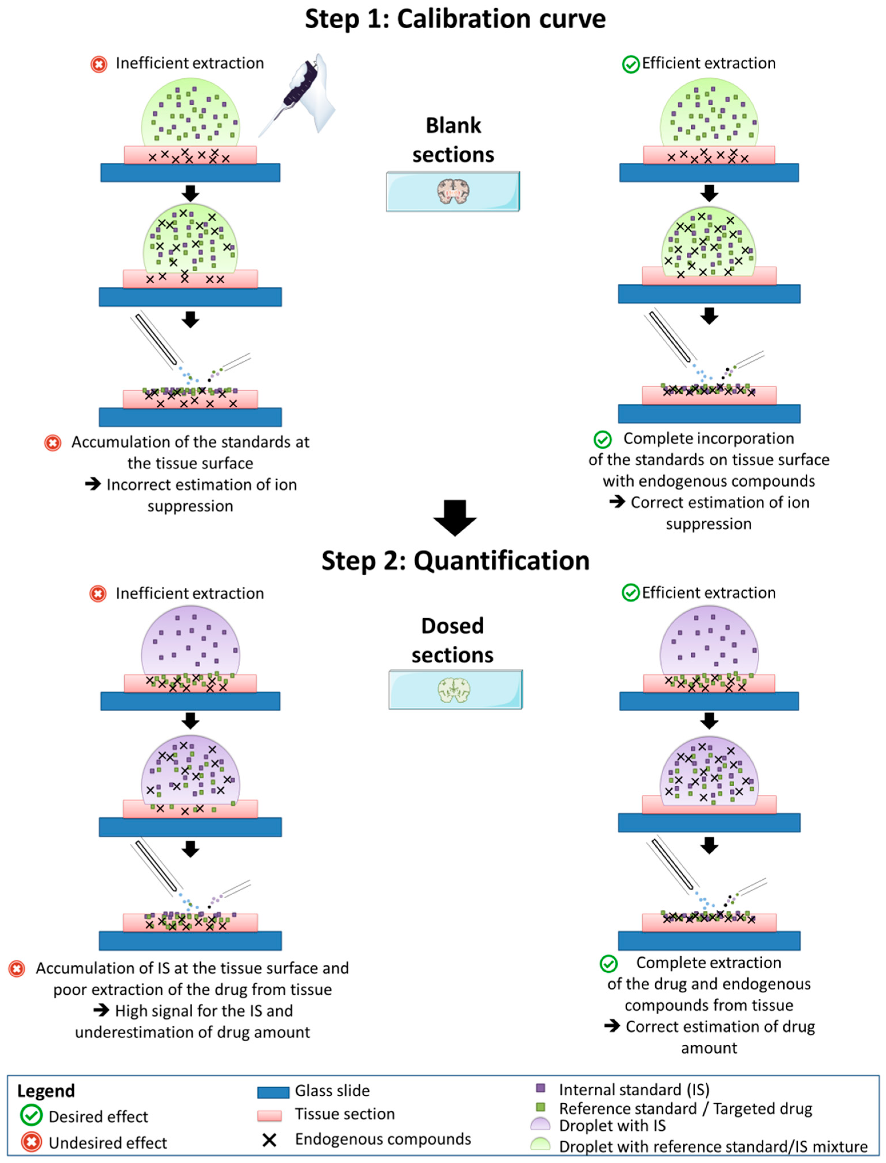 Pharmaceuticals 15 00694 g006 550