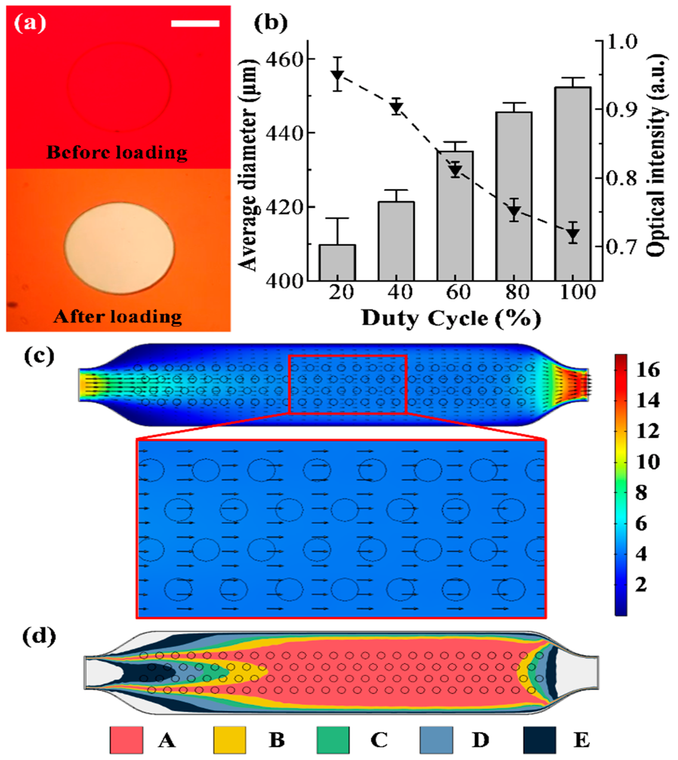 Pharmaceuticals 15 00695 g002