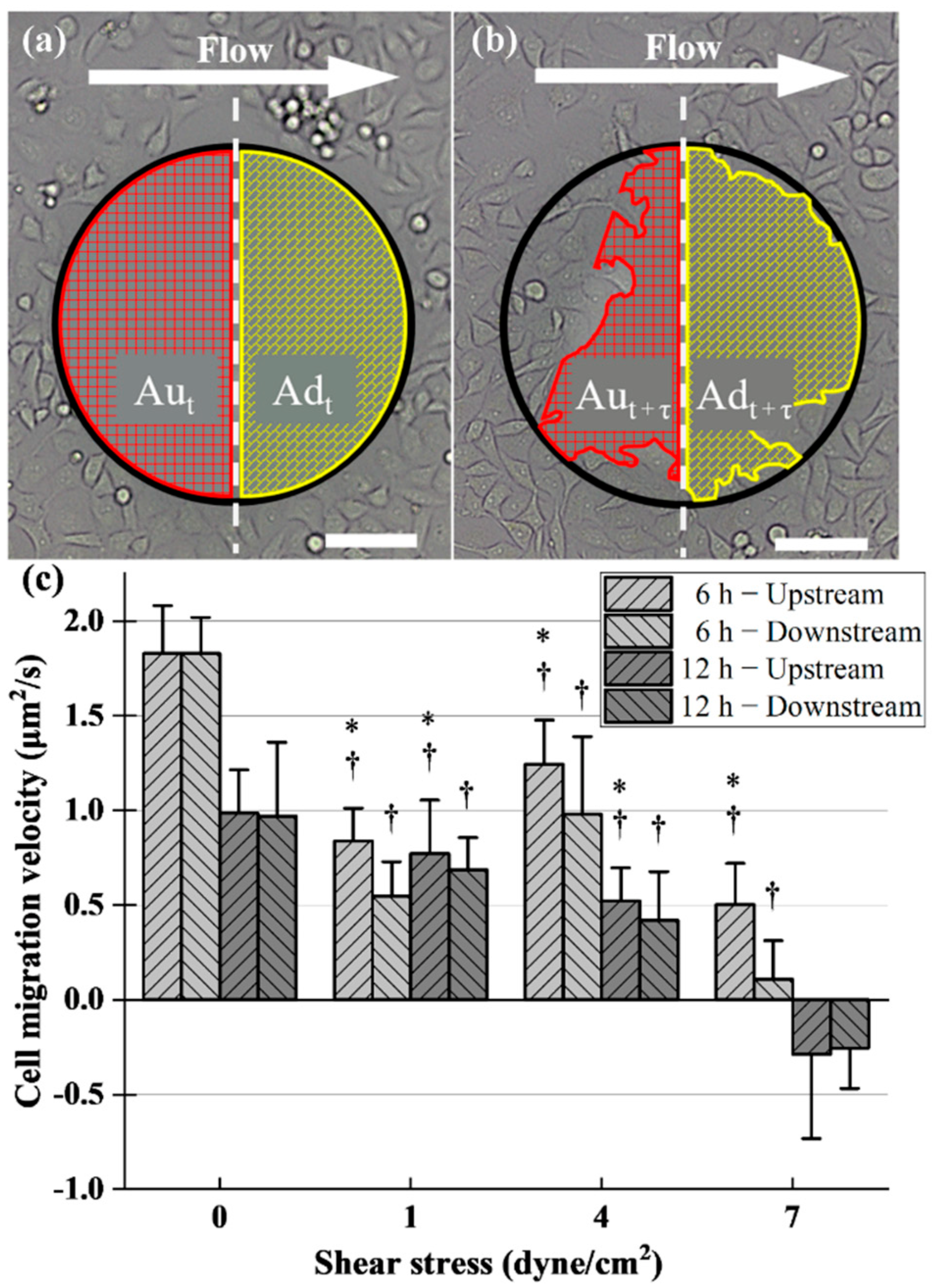 Pharmaceuticals 15 00695 g004