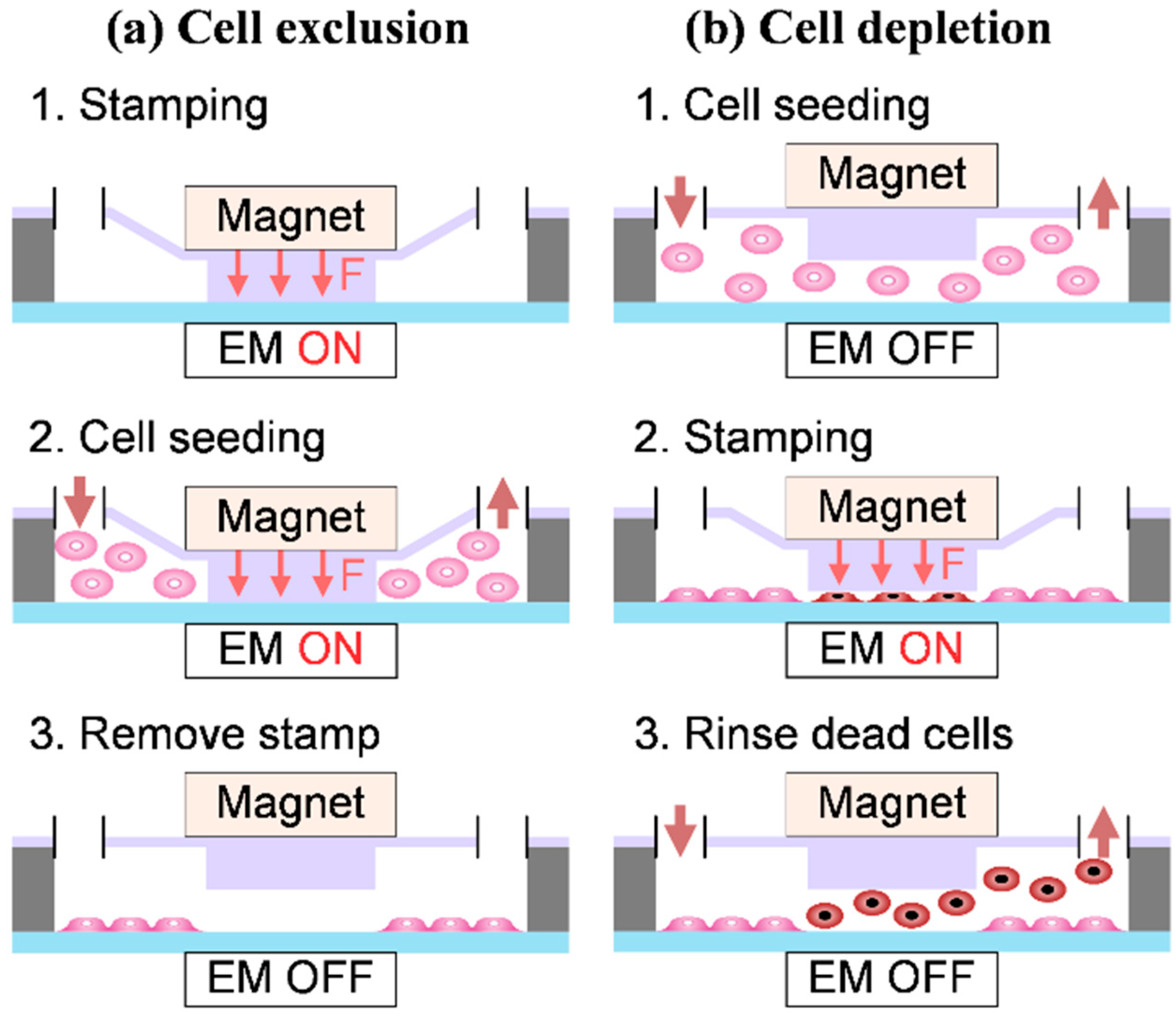 Pharmaceuticals 15 00695 g006