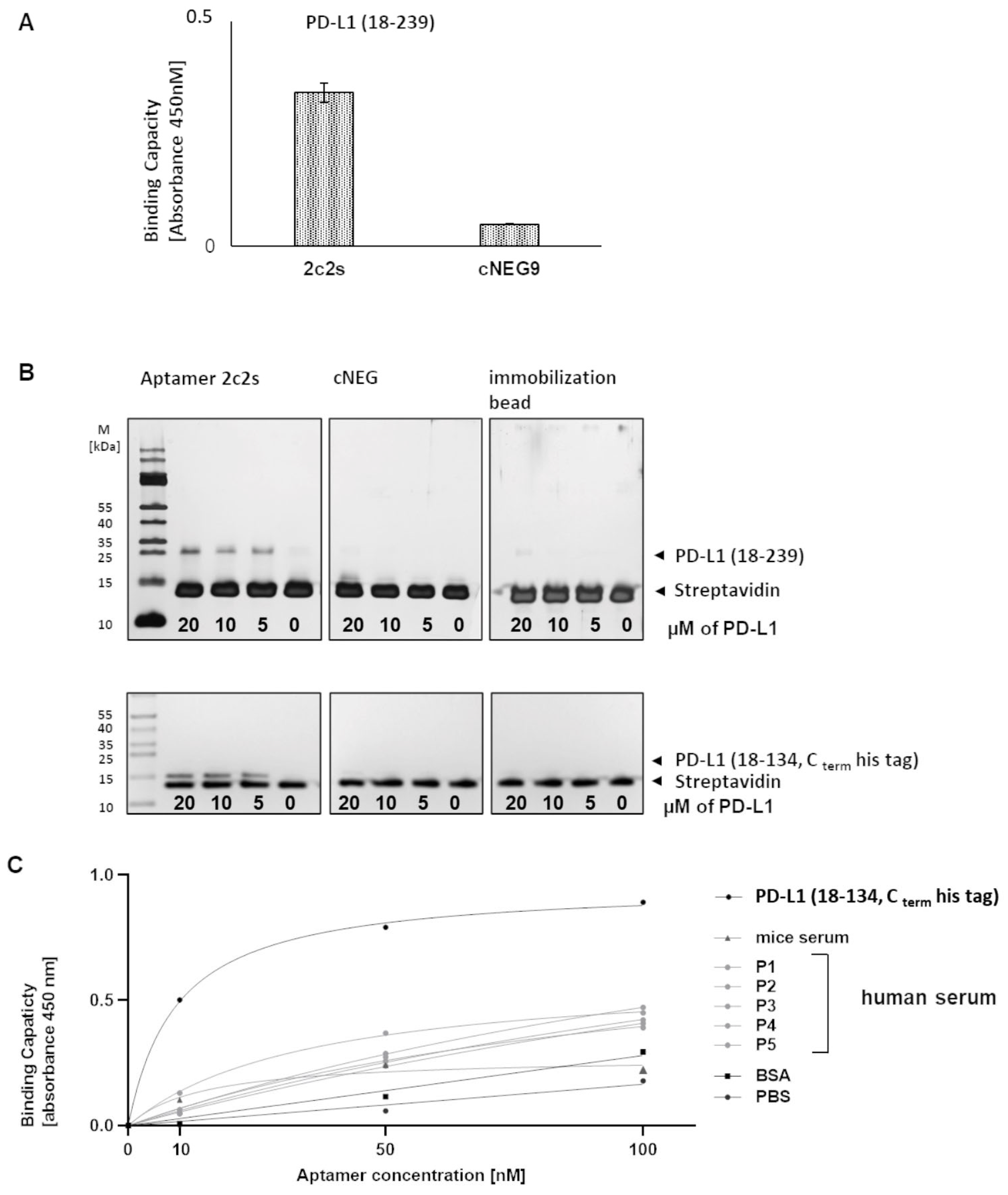 Pharmaceuticals 15 00697 g003 550