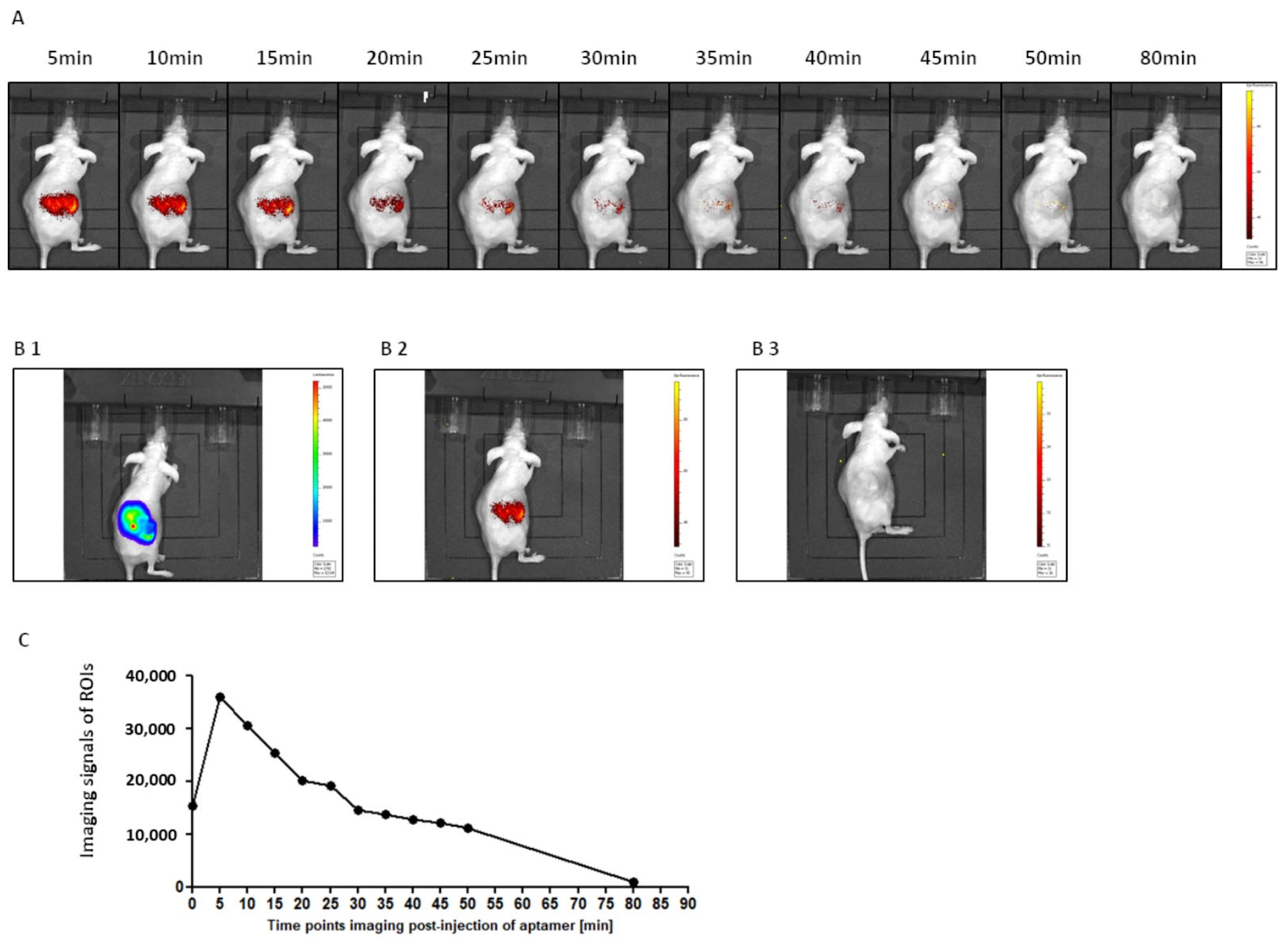 Pharmaceuticals 15 00697 g009 550