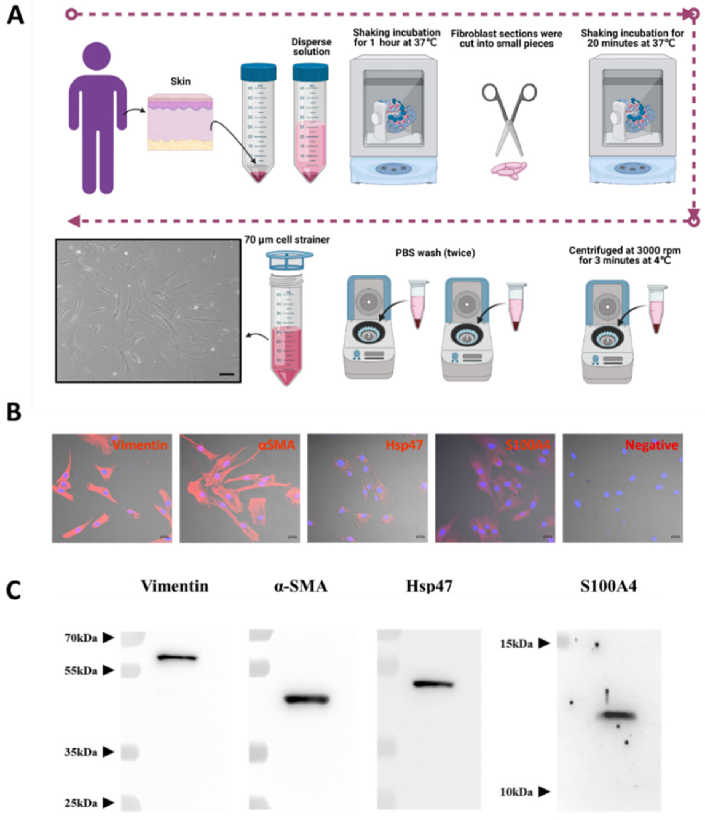 Pharmaceuticals 15 00702 g001
