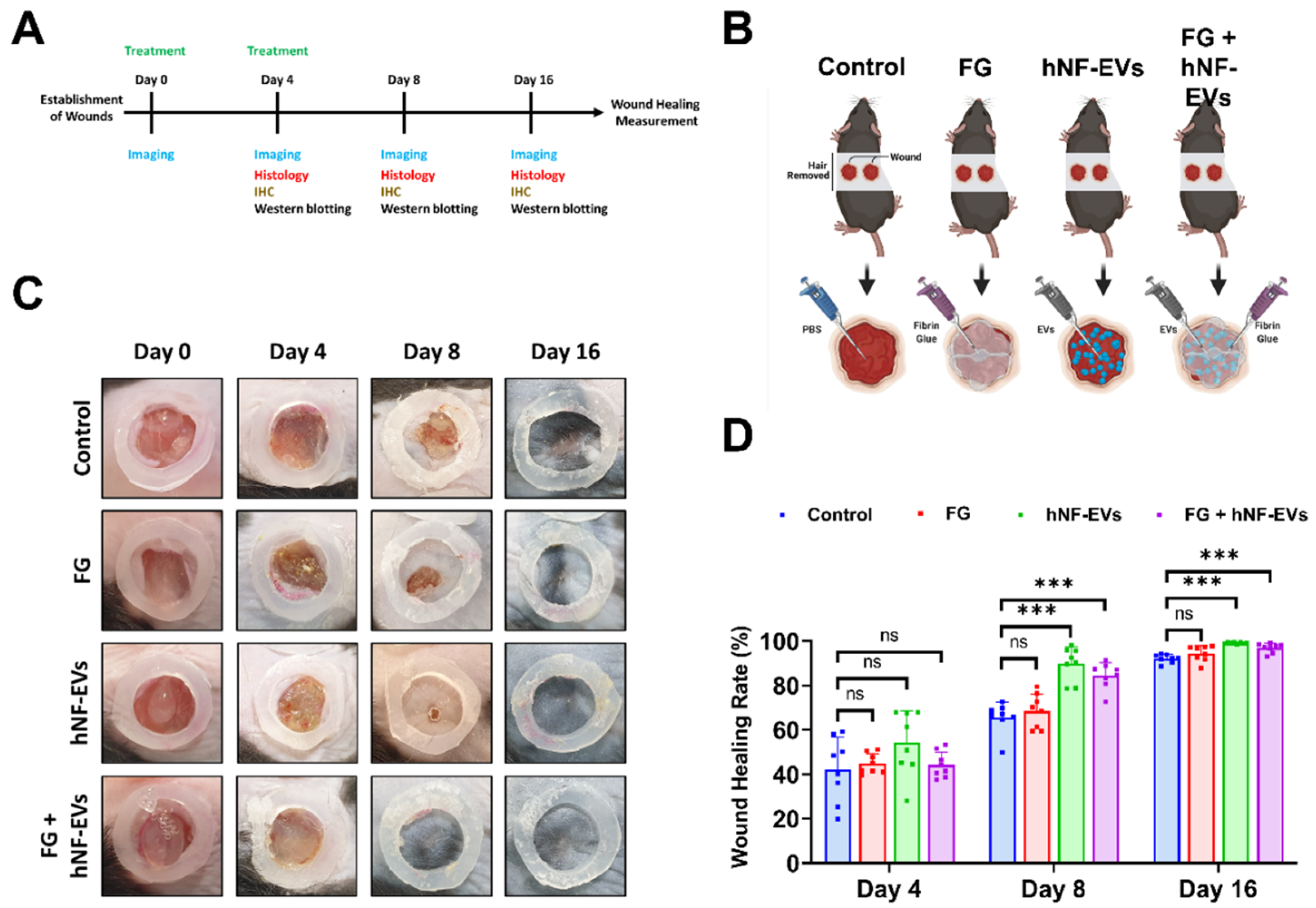 Pharmaceuticals 15 00702 g006