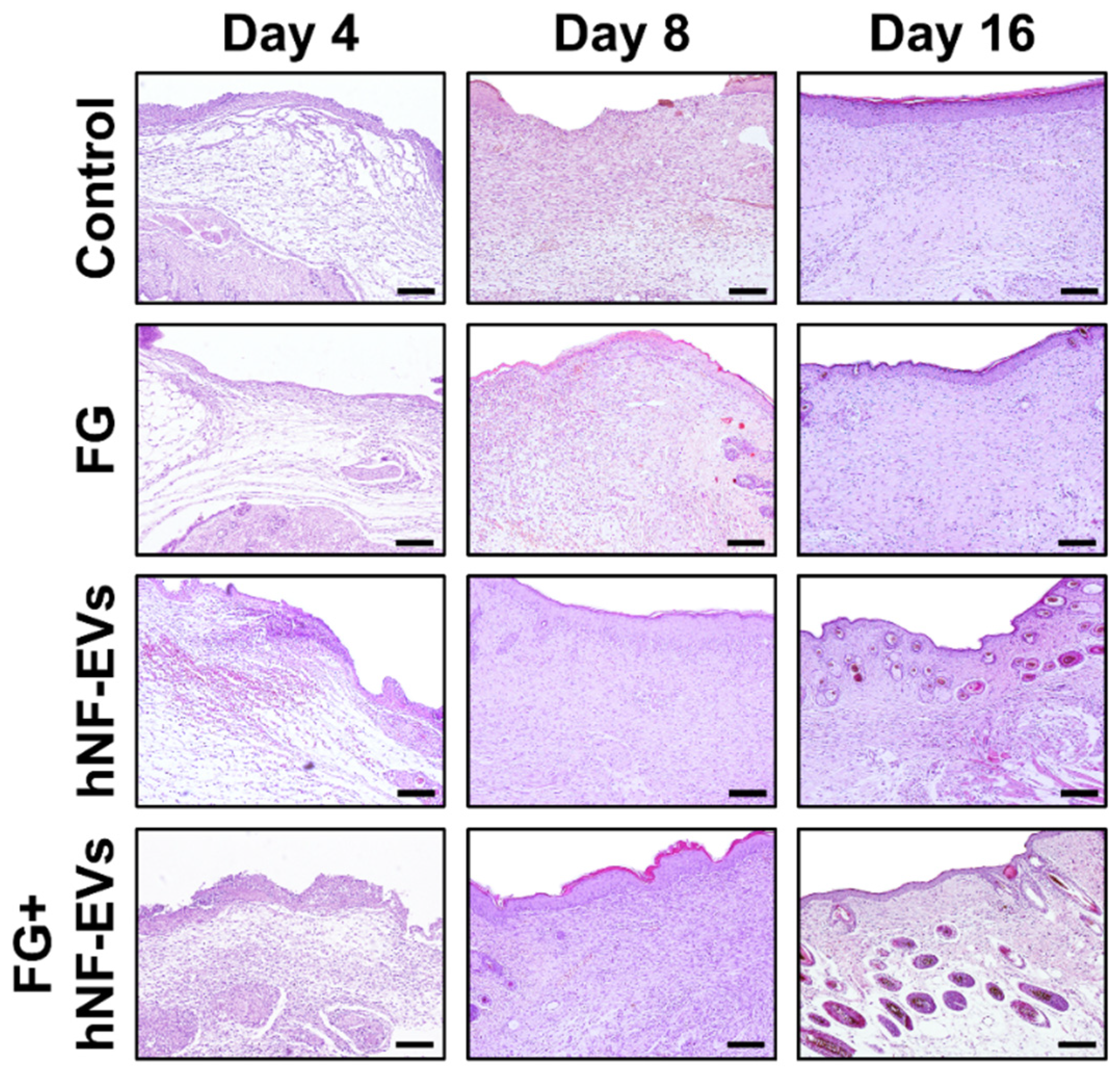 Pharmaceuticals 15 00702 g007