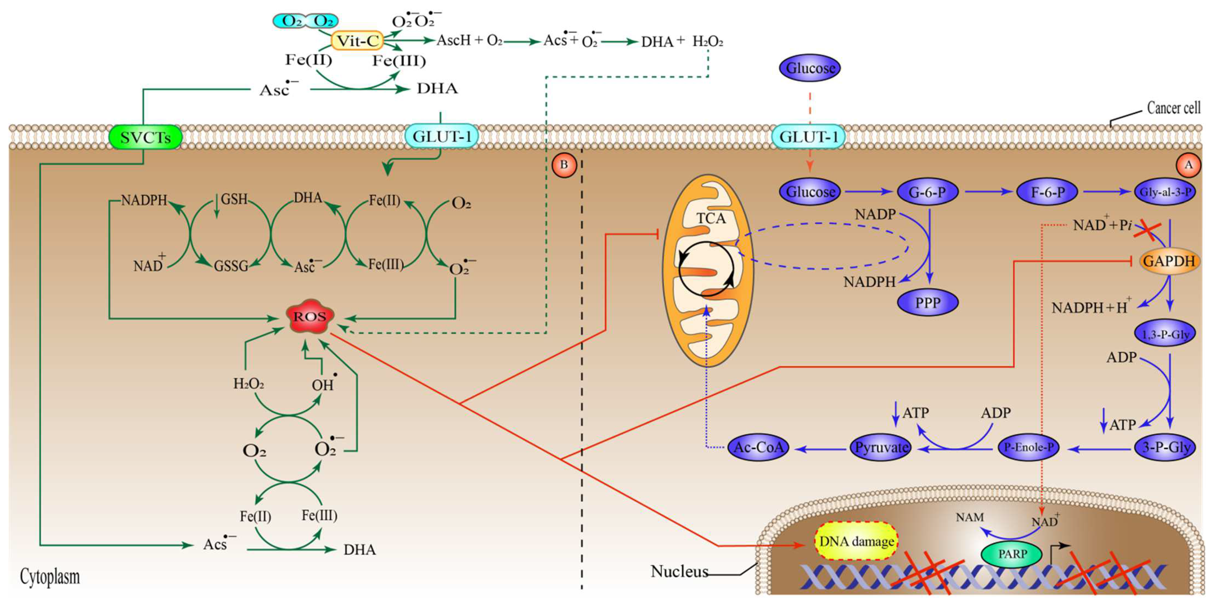 Pharmaceuticals 15 00711 g002 Pharmaceuticals 15 00711 g002