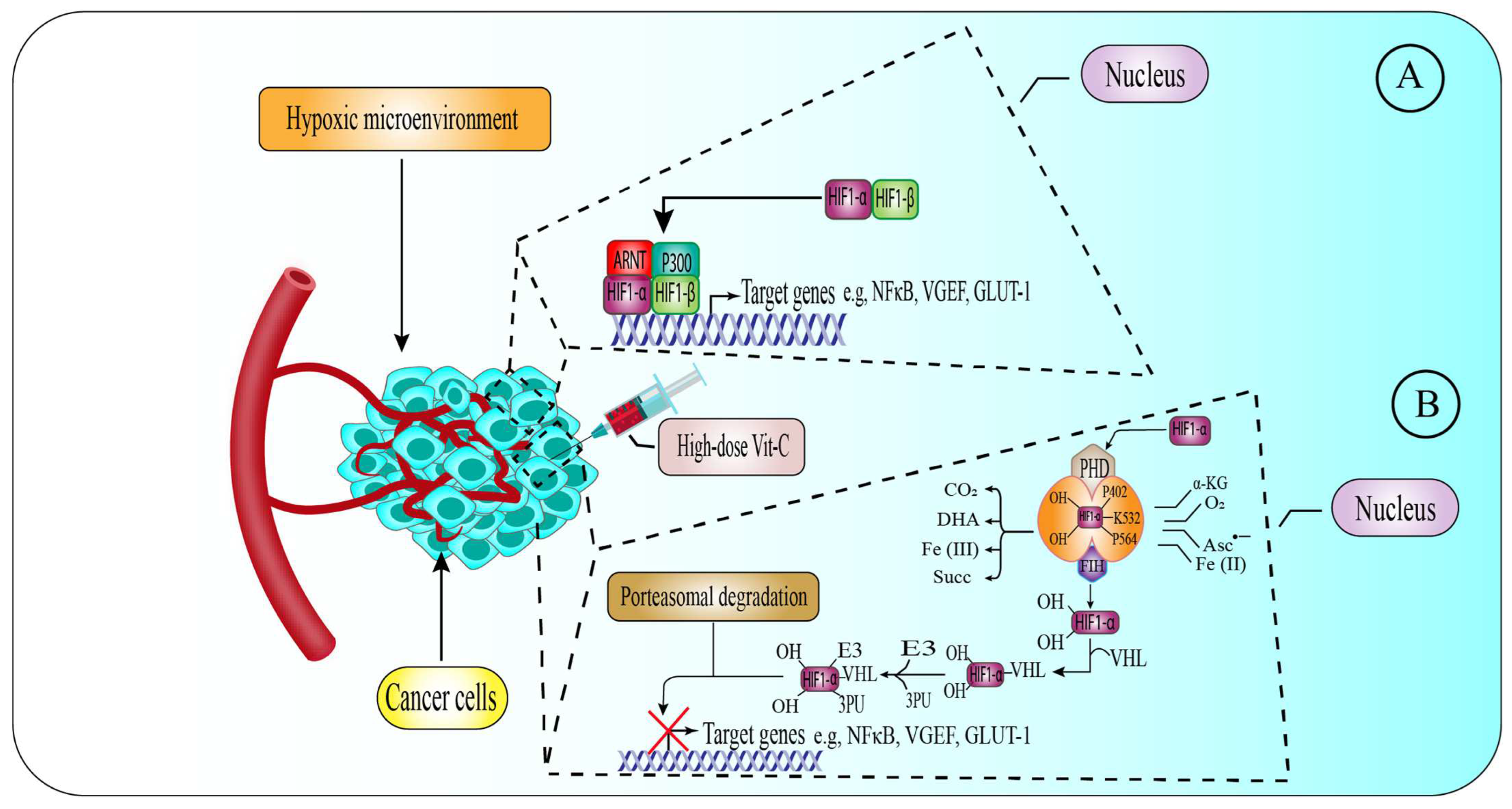 Pharmaceuticals | Free Full-Text | High-Dose Vitamin C for Cancer 