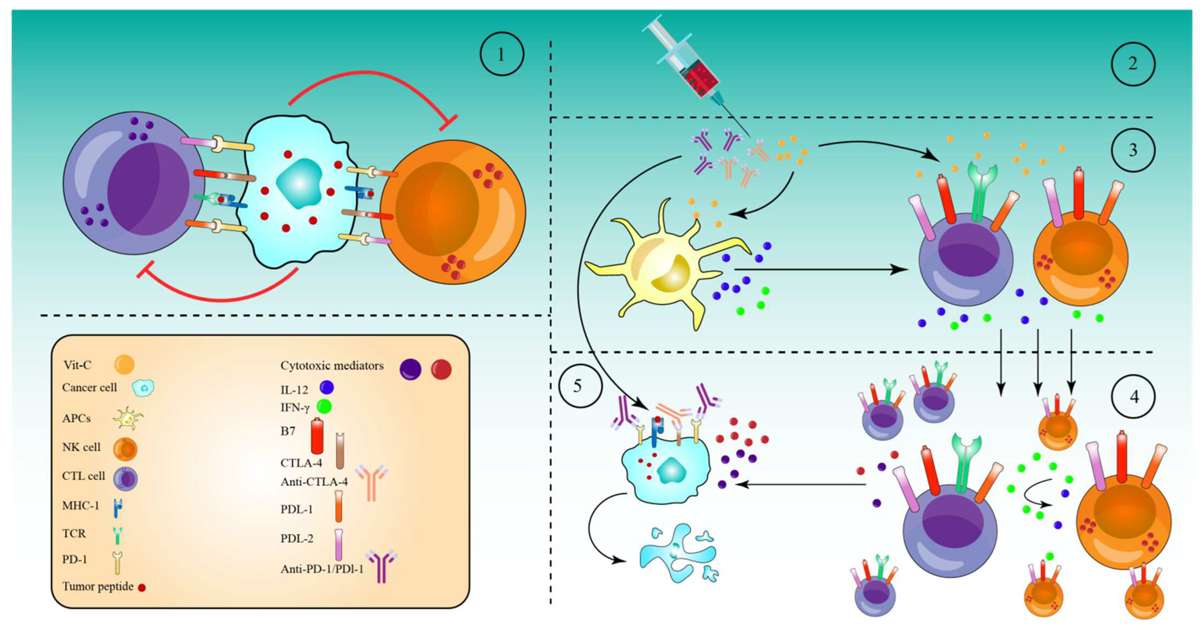 High-Dose Vitamin C for Cancer Therapy