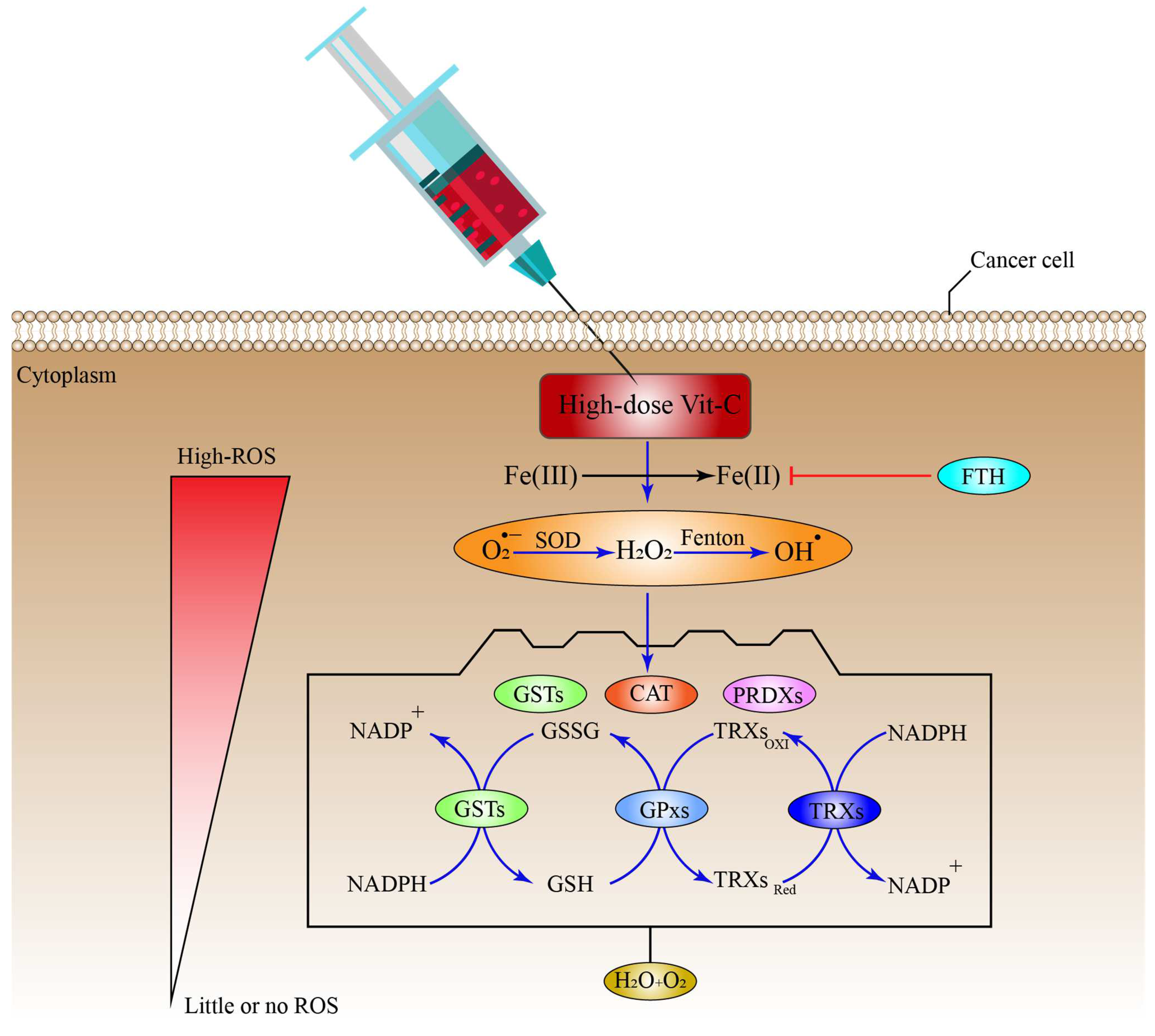 Pharmaceuticals 15 00711 g006 Pharmaceuticals 15 00711 g006
