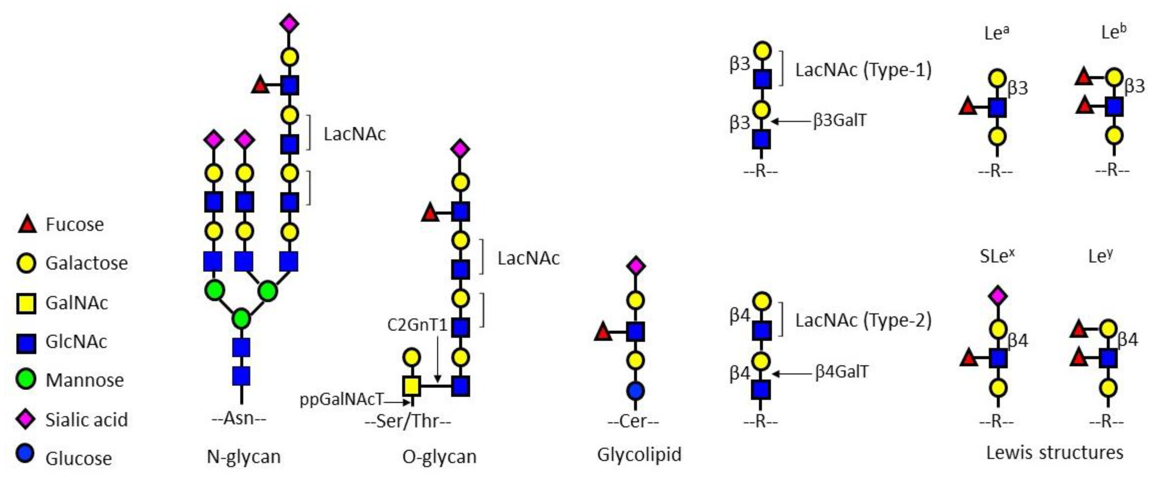 Pharmaceuticals 15 00716 g001 550