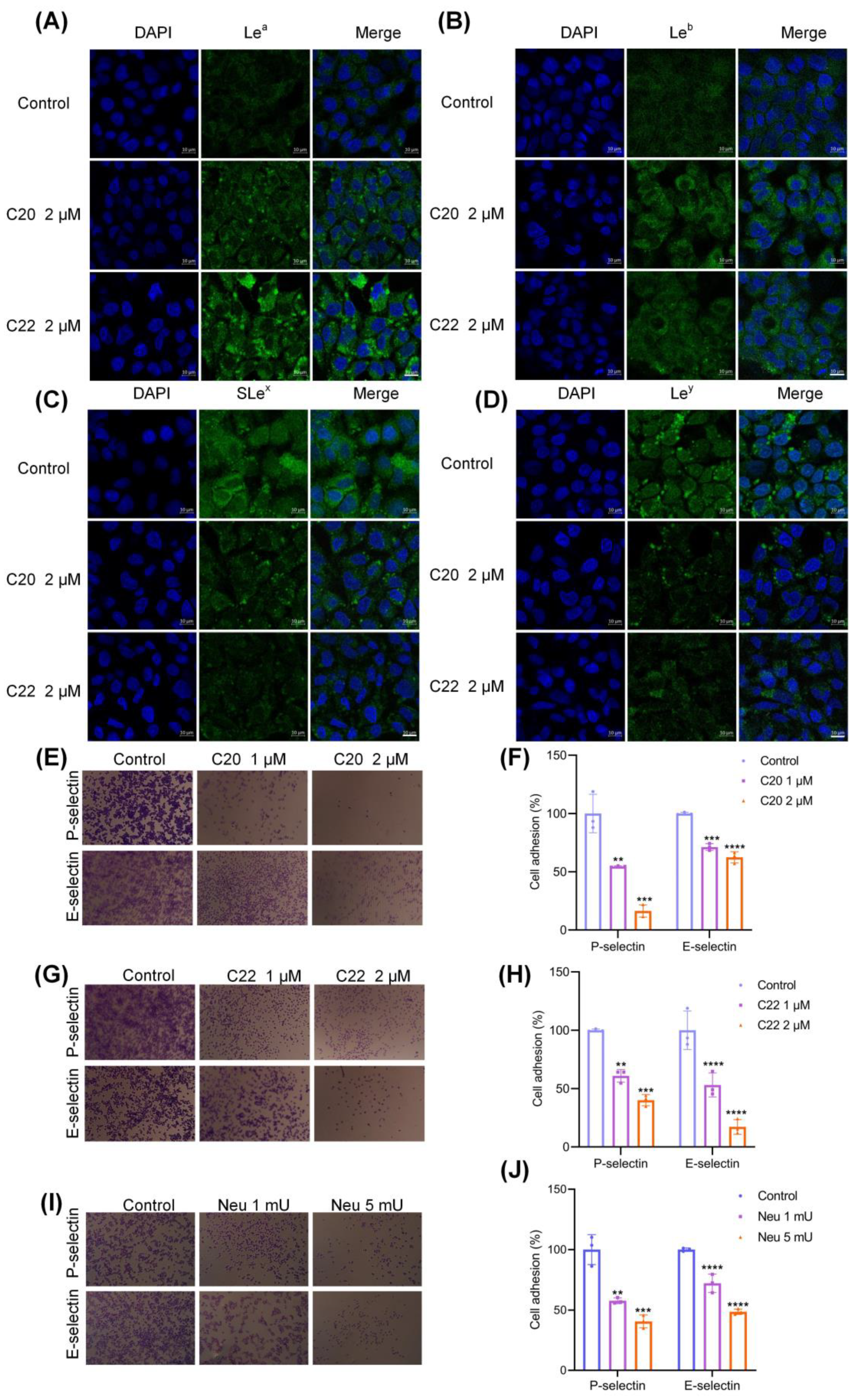 Pharmaceuticals 15 00716 g004 550