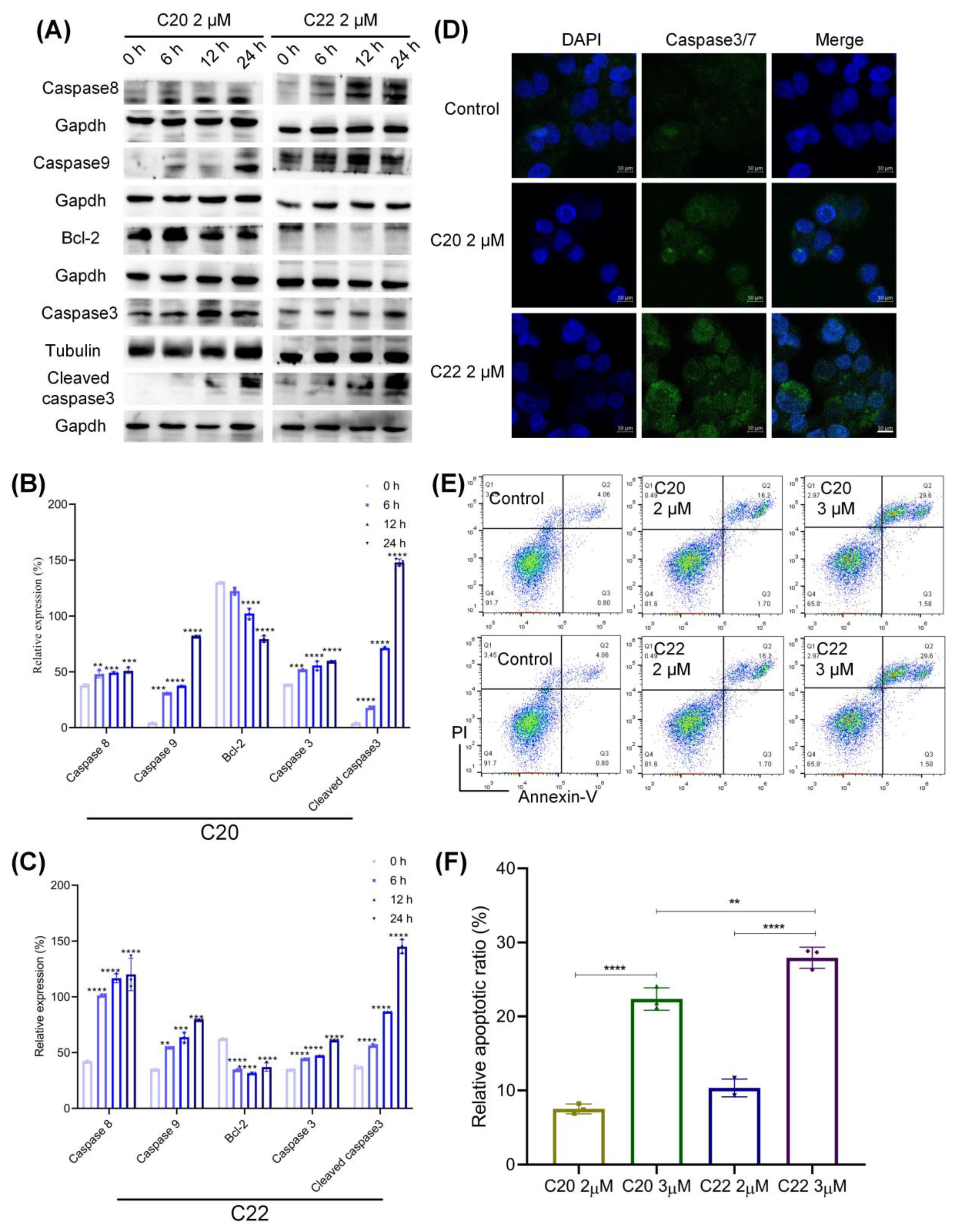 Pharmaceuticals 15 00716 g008 550