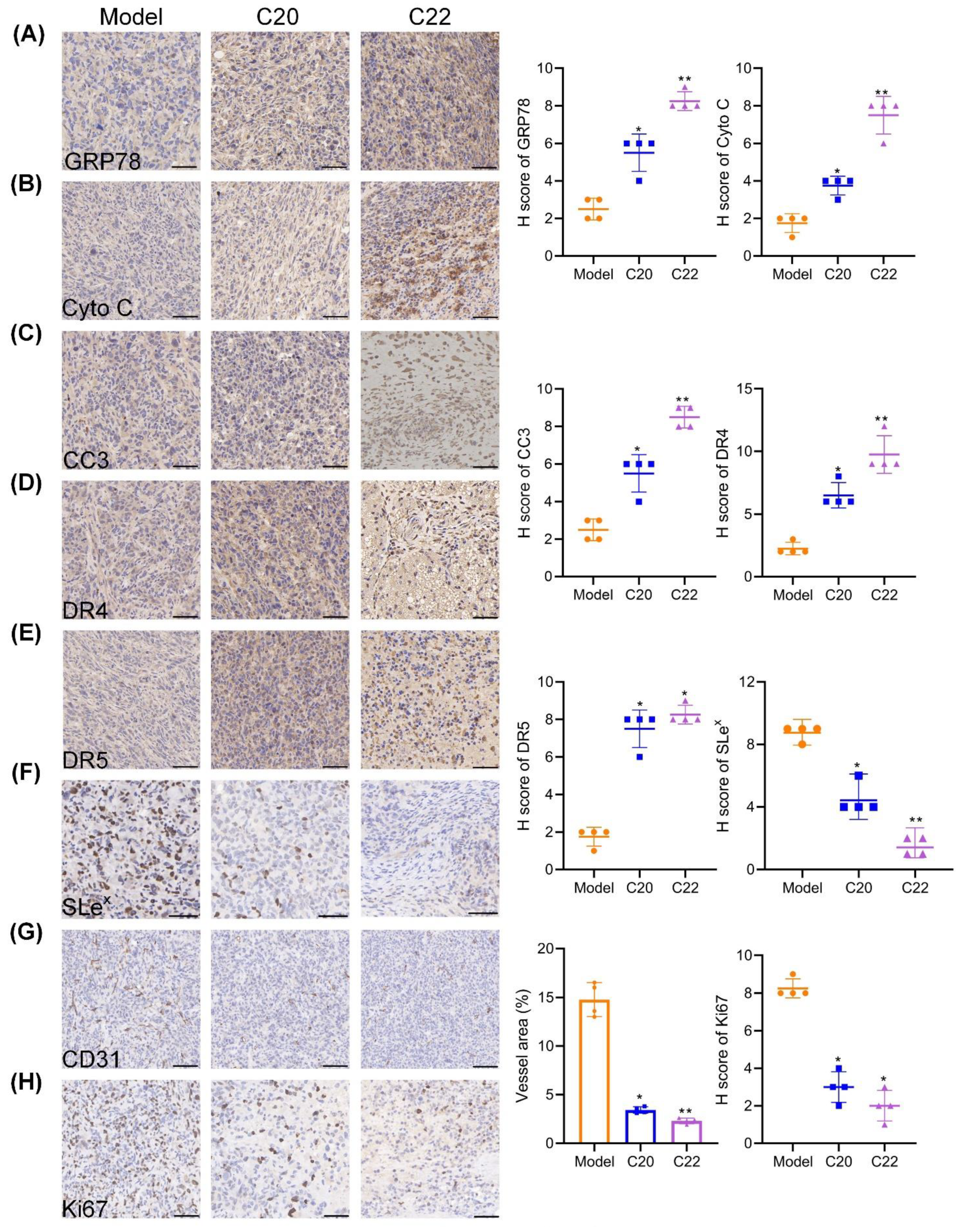 Pharmaceuticals 15 00716 g010 550